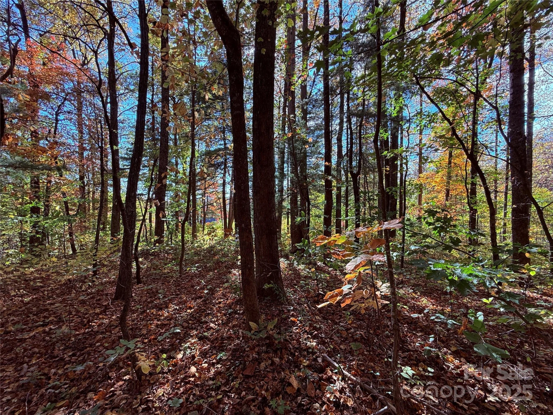 312 Hollybrook Drive #S-1R - Photo 34