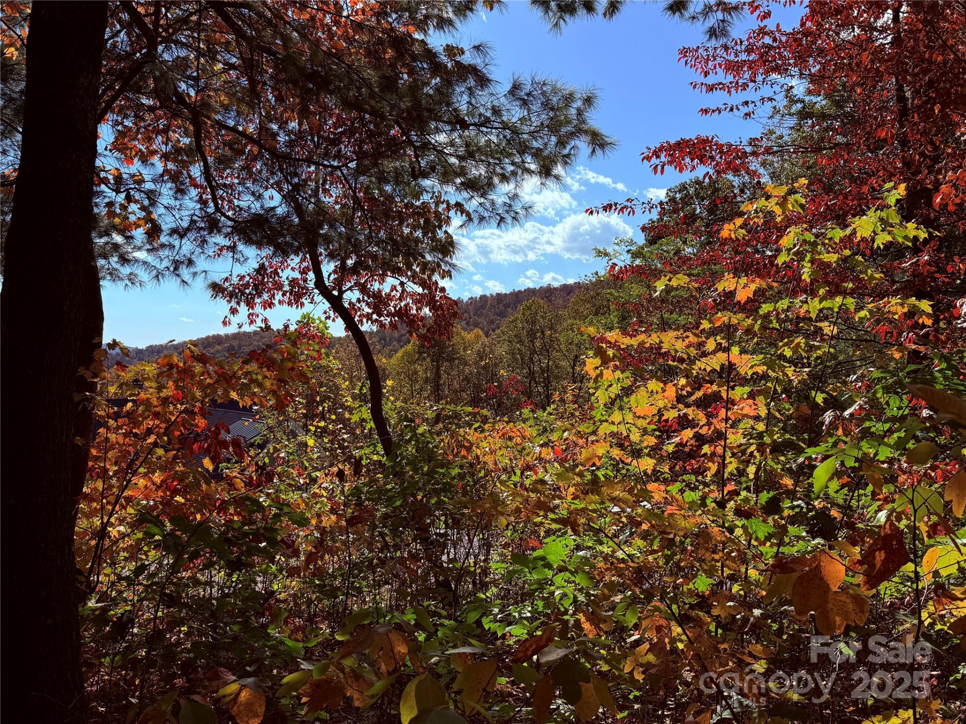 312 Hollybrook Drive #S-1R - Photo 35