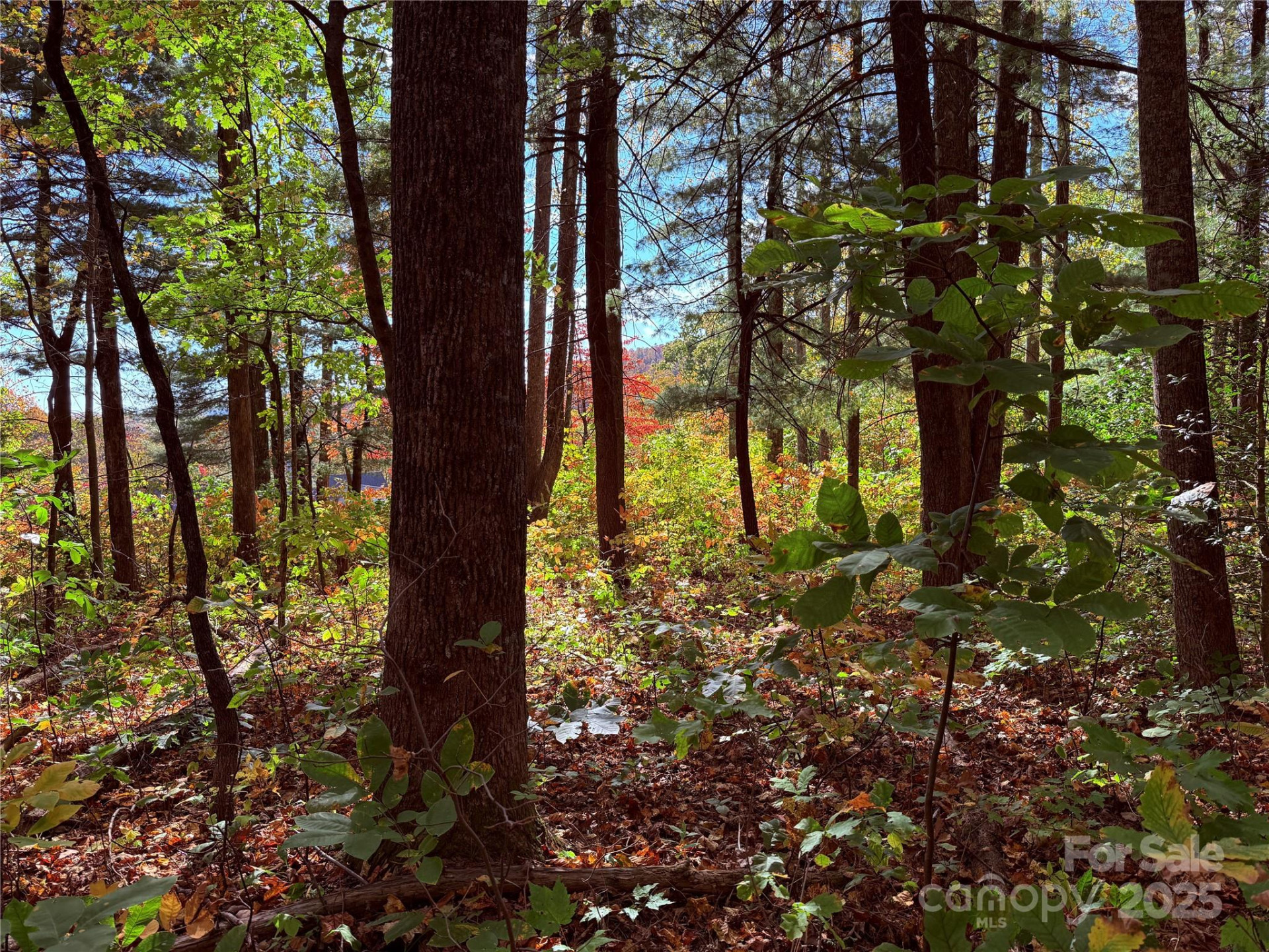 312 Hollybrook Drive #S-1R - Photo 36