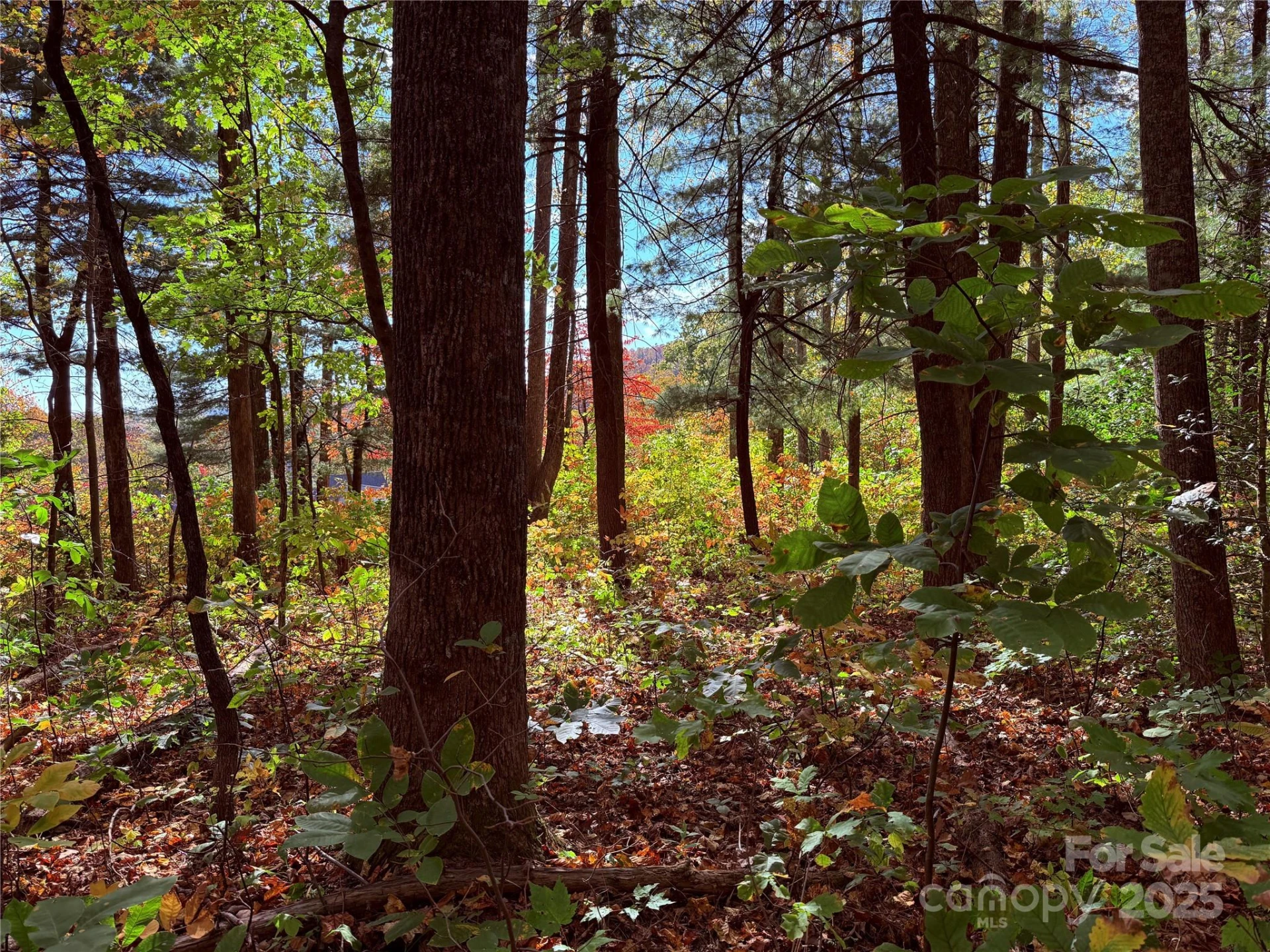 312 Hollybrook Drive #S-1R - Photo 36