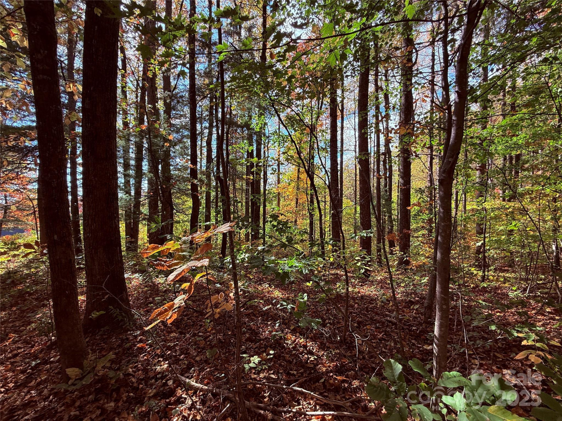 312 Hollybrook Drive #S-1R - Photo 37