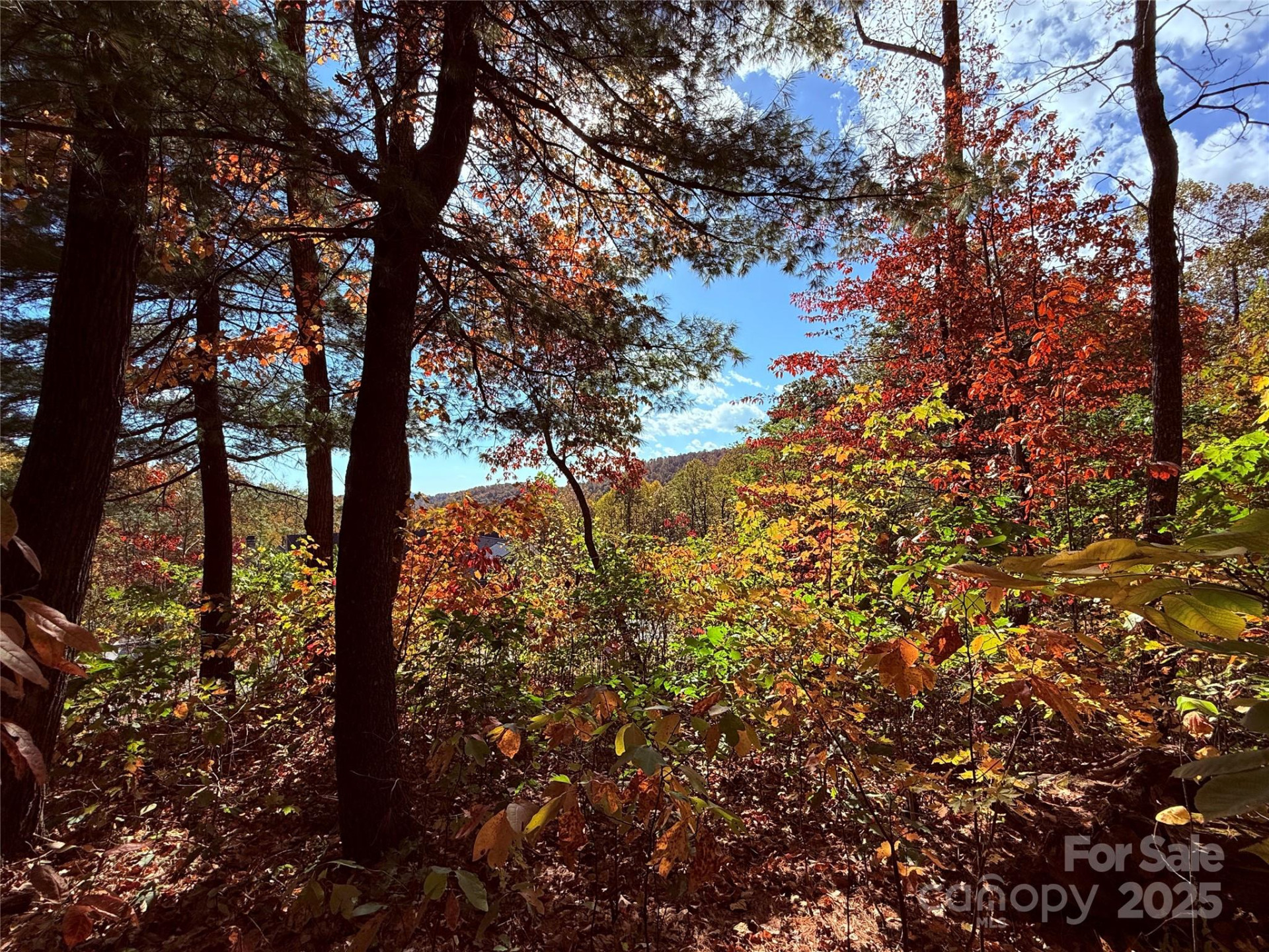 312 Hollybrook Drive #S-1R - Photo 38