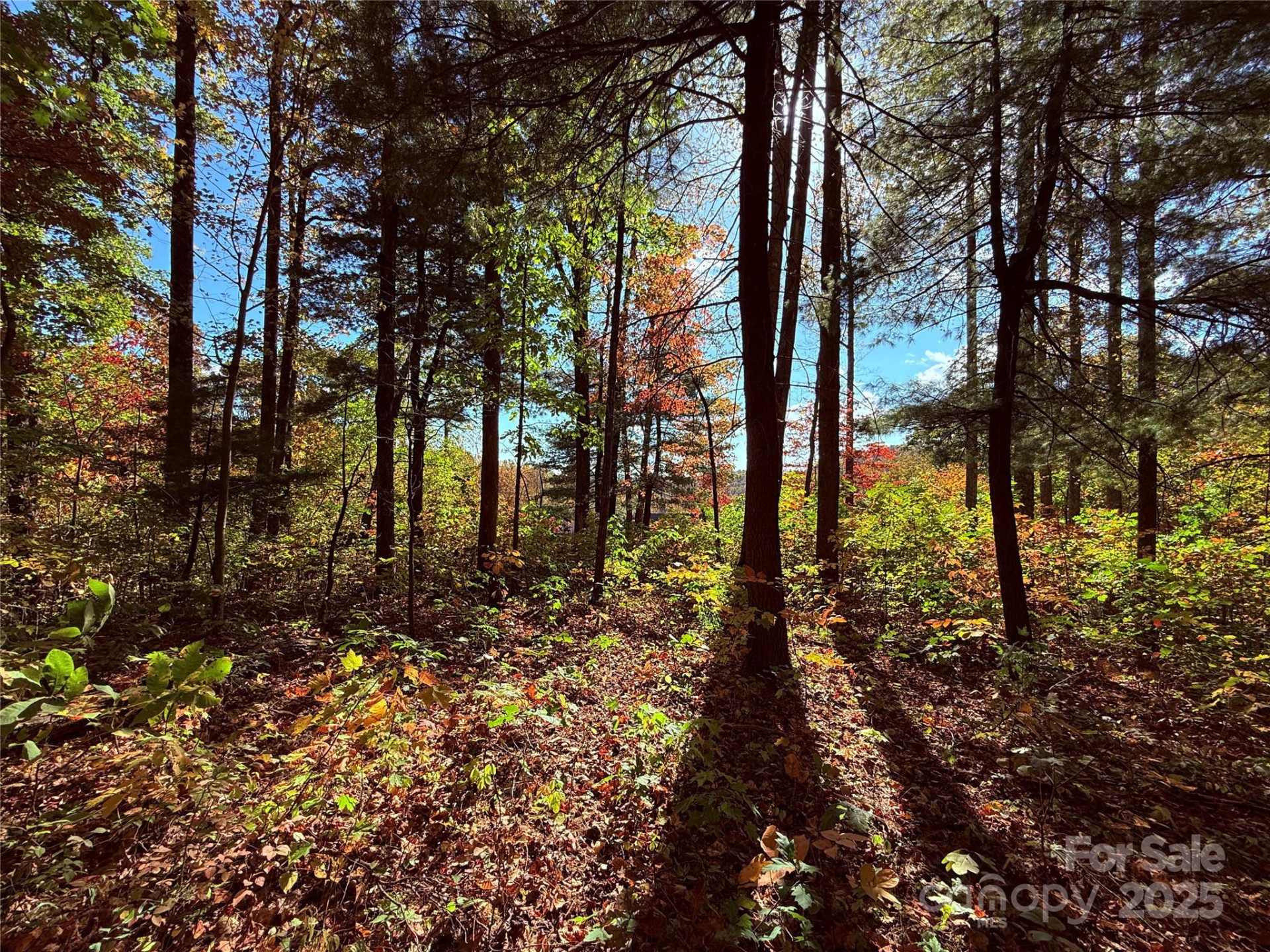 312 Hollybrook Drive #S-1R - Photo 39