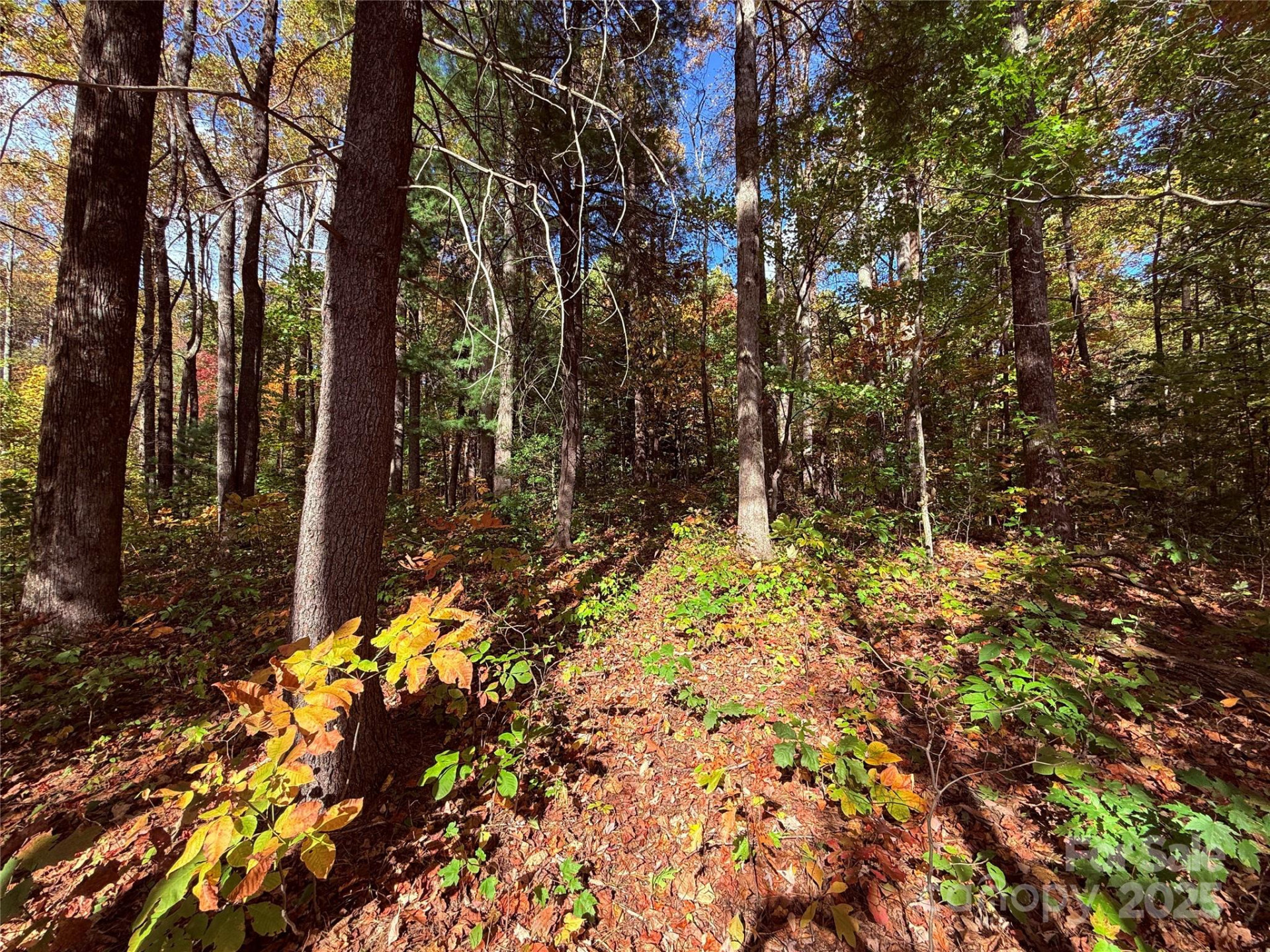 312 Hollybrook Drive #S-1R - Photo 40