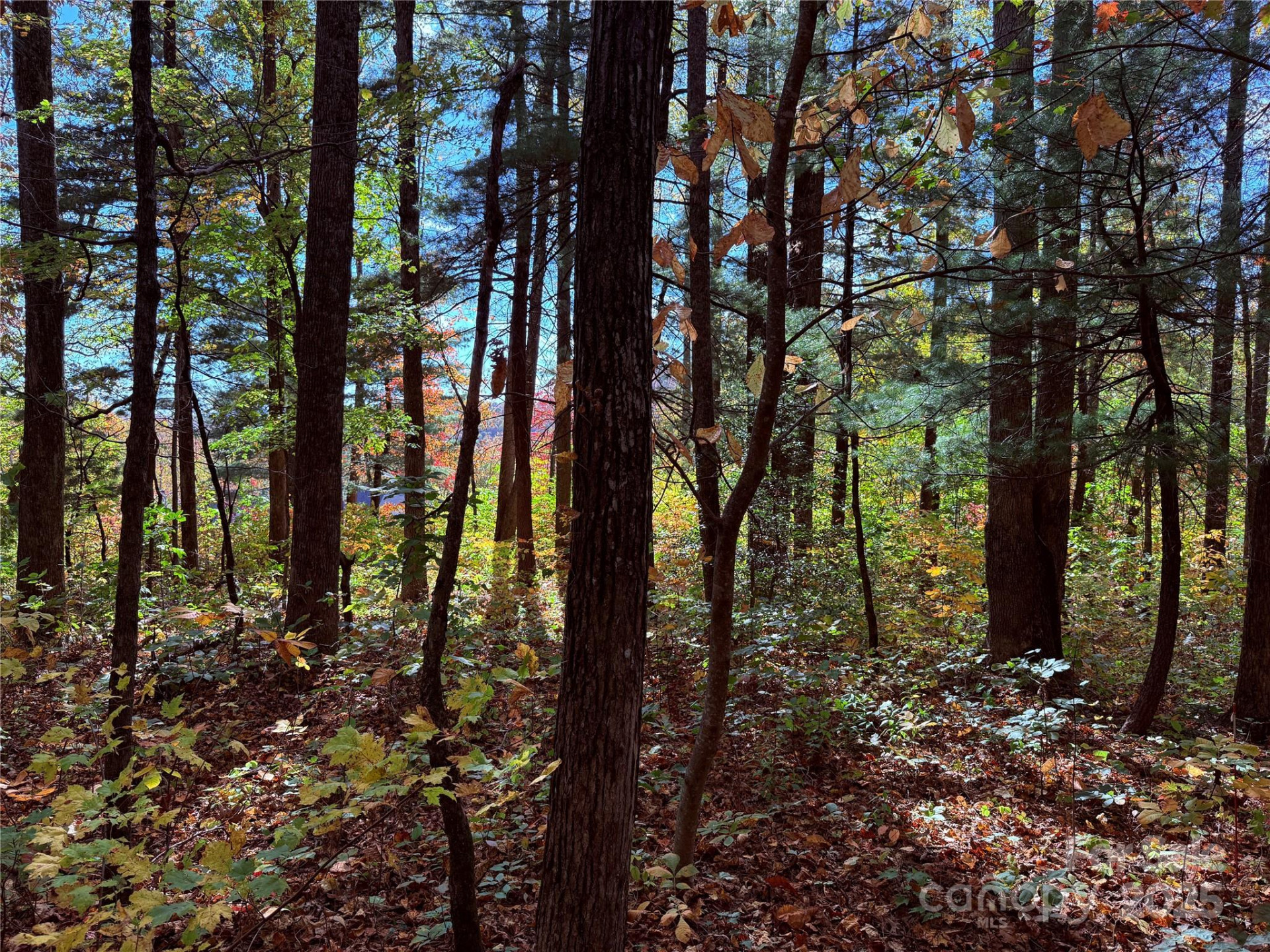 312 Hollybrook Drive #S-1R - Photo 5