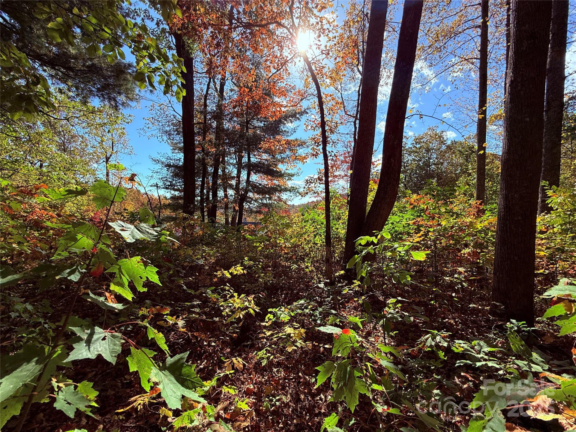 312 Hollybrook Drive #S-1R - Photo 41