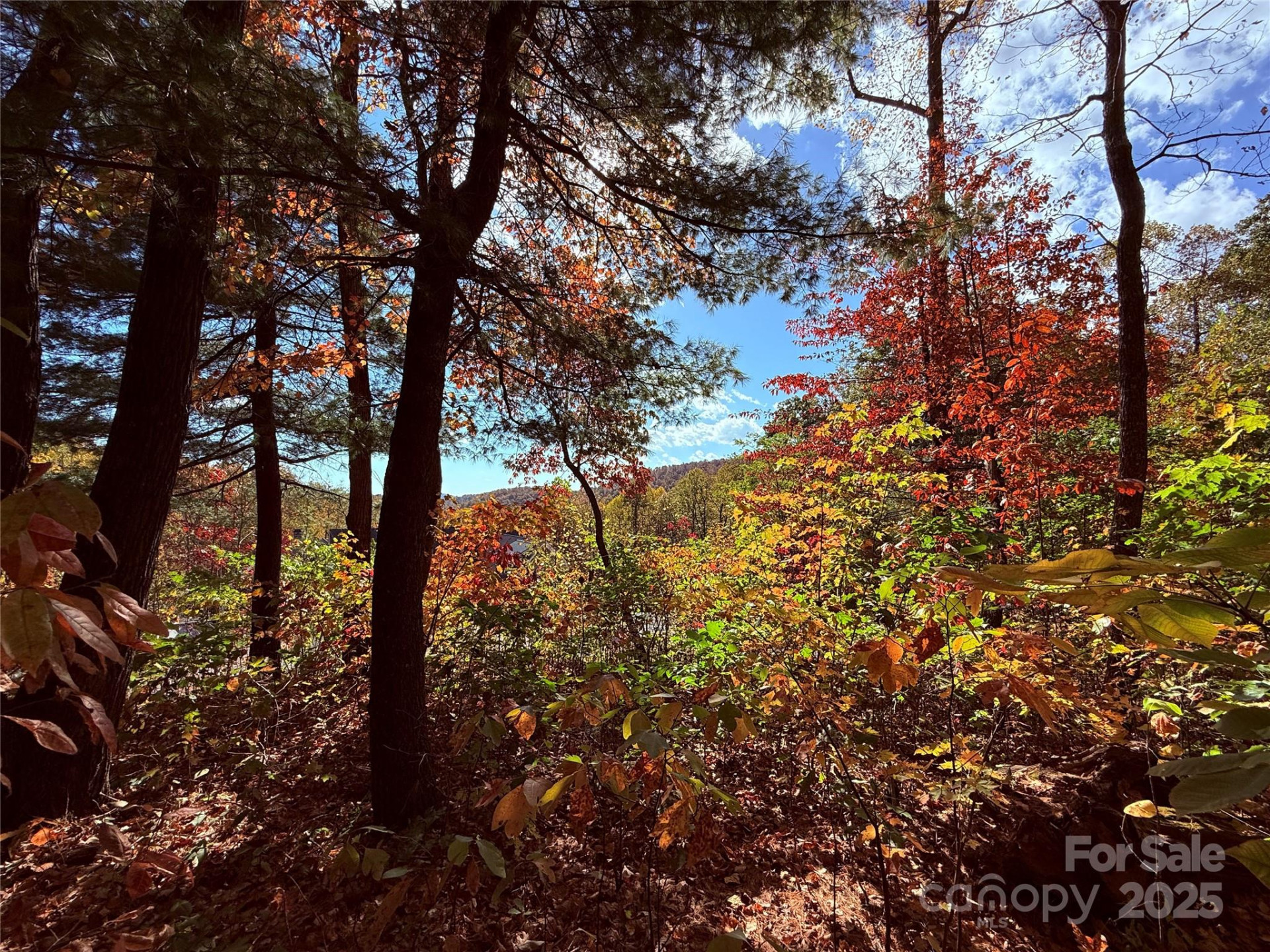 312 Hollybrook Drive #S-1R - Photo 42