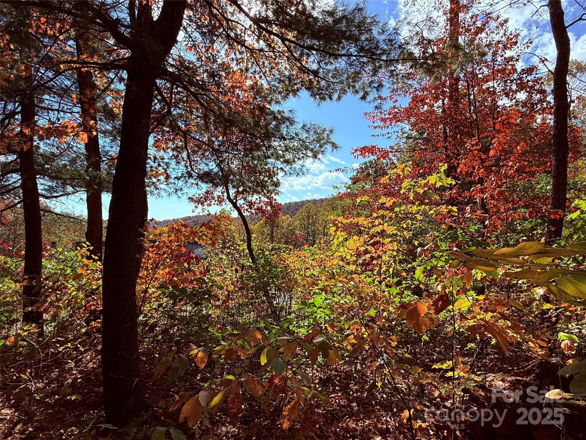 312 Hollybrook Drive #S-1R - Photo 43