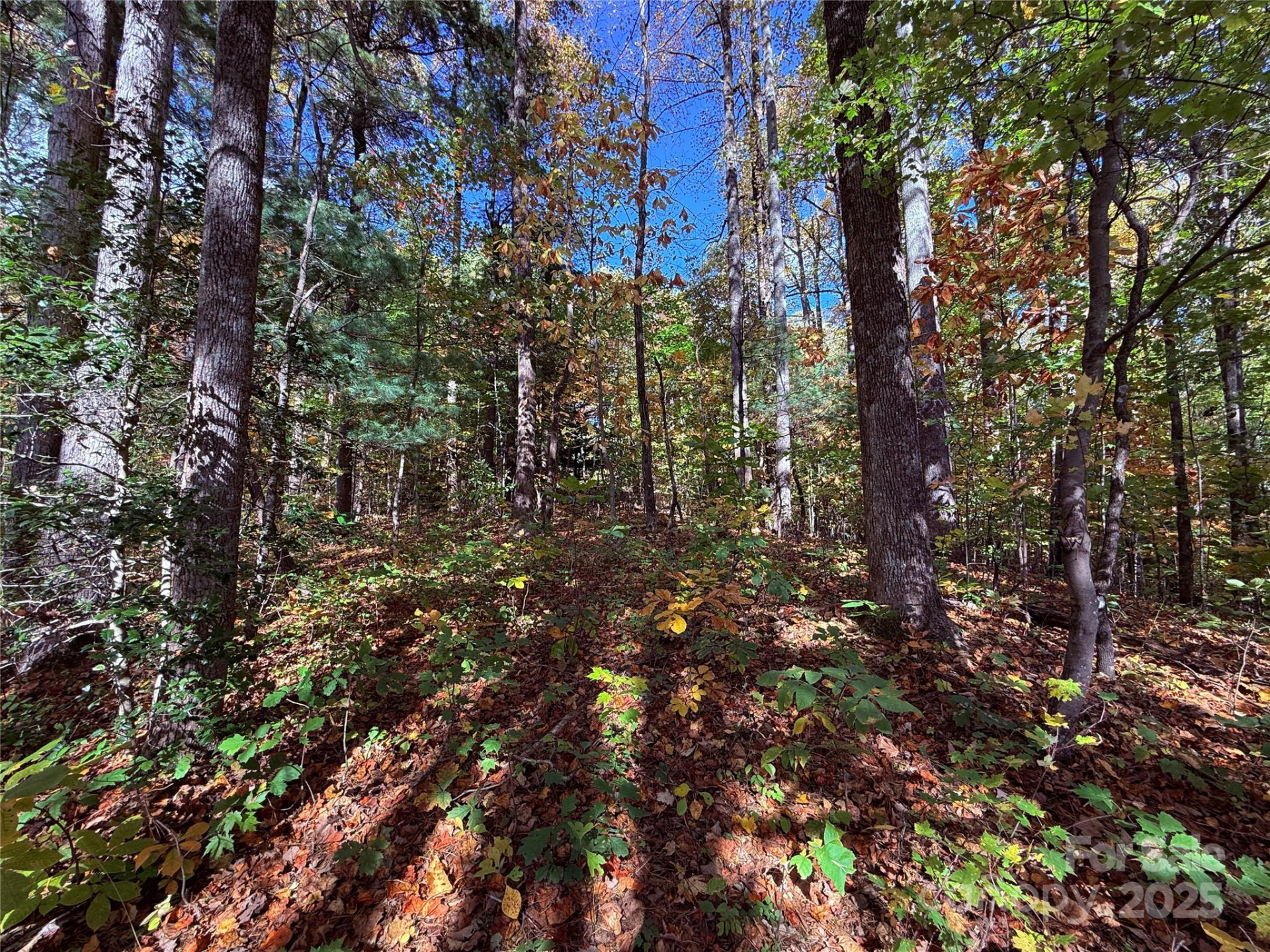 312 Hollybrook Drive #S-1R - Photo 44