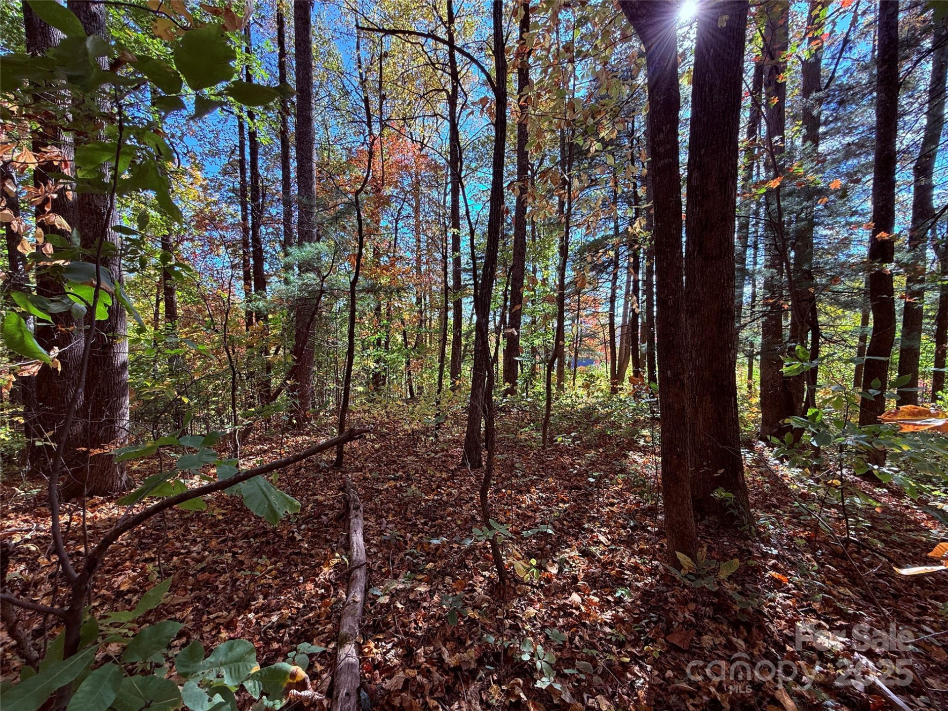 312 Hollybrook Drive #S-1R - Photo 7