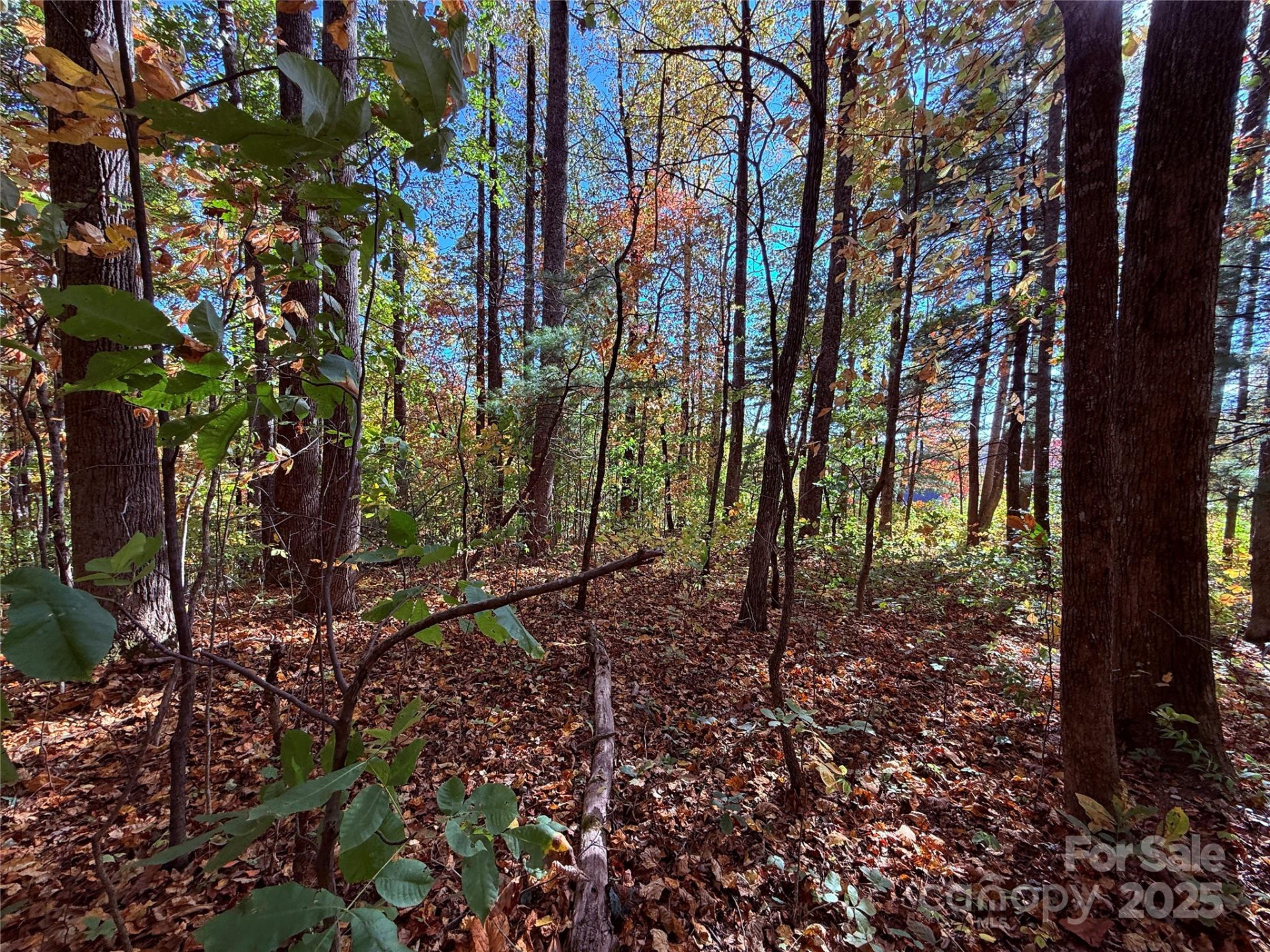 312 Hollybrook Drive #S-1R - Photo 8