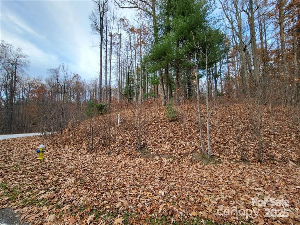 312 Hollybrook Drive #S-1R - Photo 9