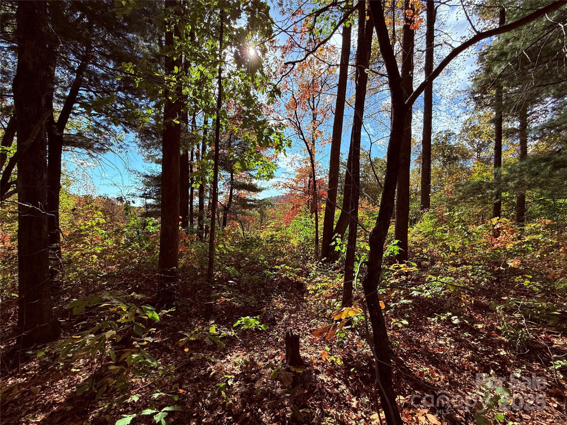 312 Hollybrook Drive #S-1R - Photo 10