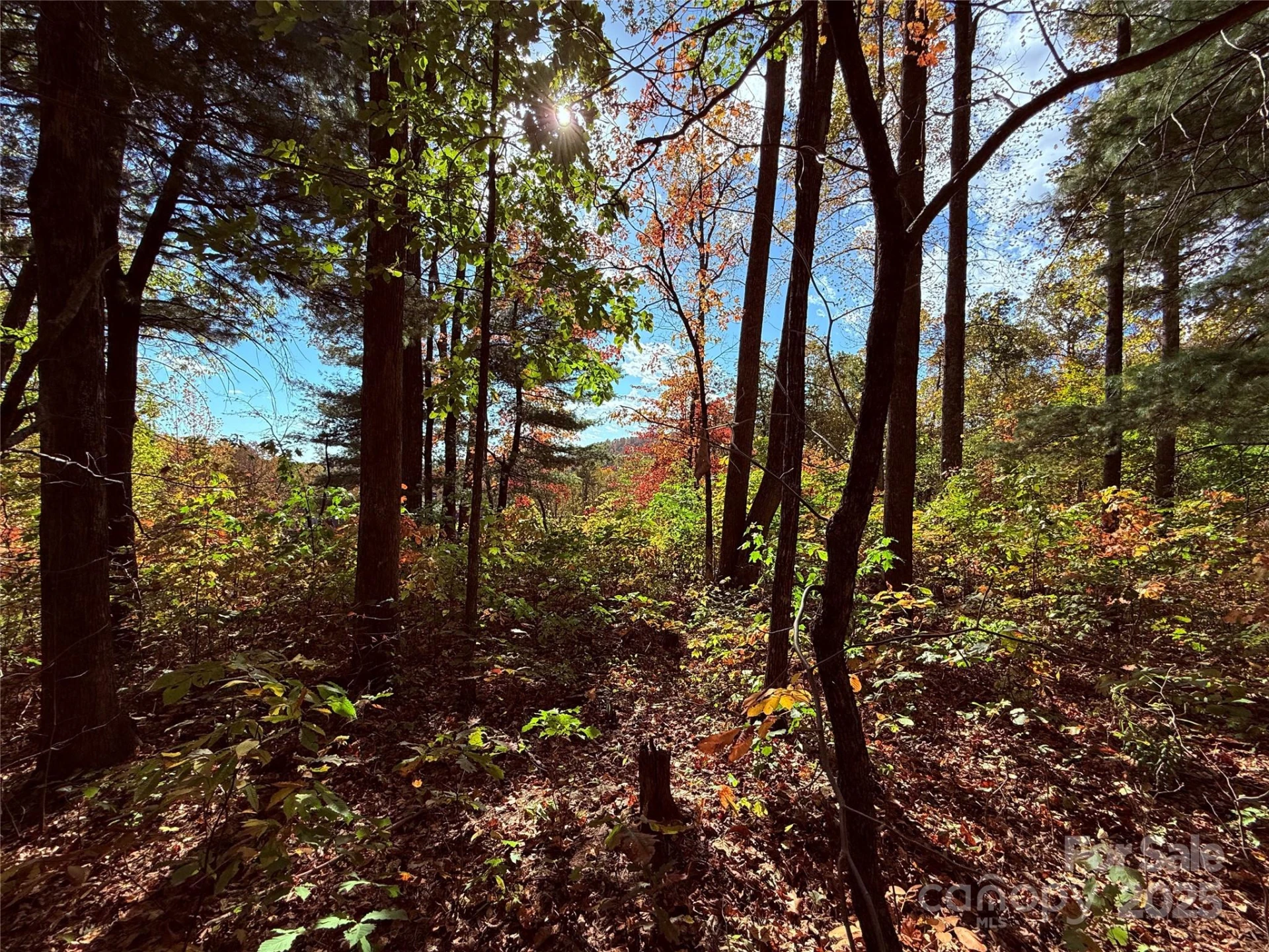 312 Hollybrook Drive #S-1R - Photo 10