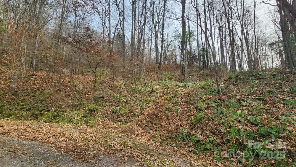 00 SATINWOOD Drive #19 - Photo 11