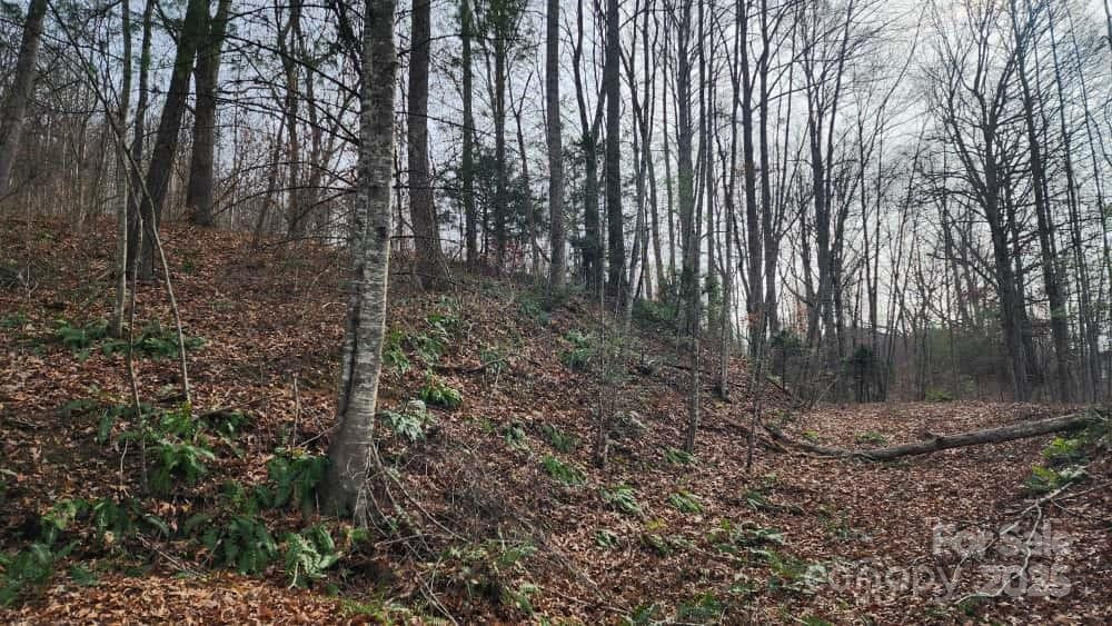 00 SATINWOOD Drive #19 - Photo 12