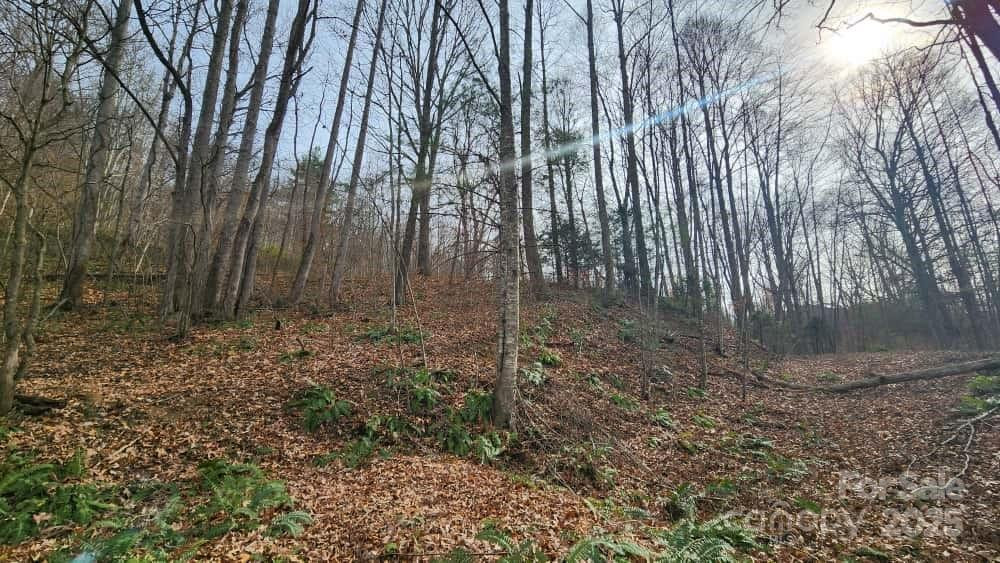 00 SATINWOOD Drive #19 - Photo 14