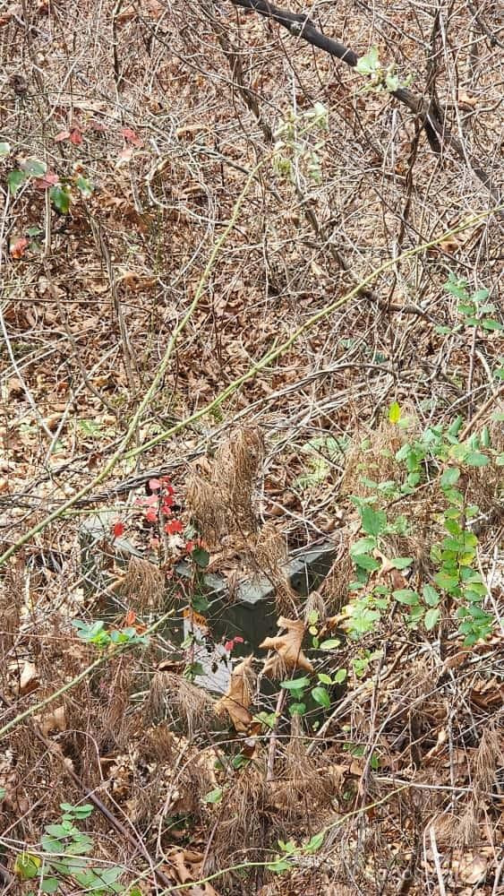 00 SATINWOOD Drive #19 - Photo 20