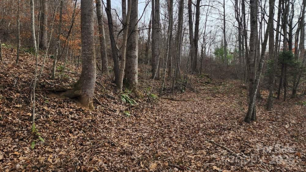 00 SATINWOOD Drive #19 - Photo 21