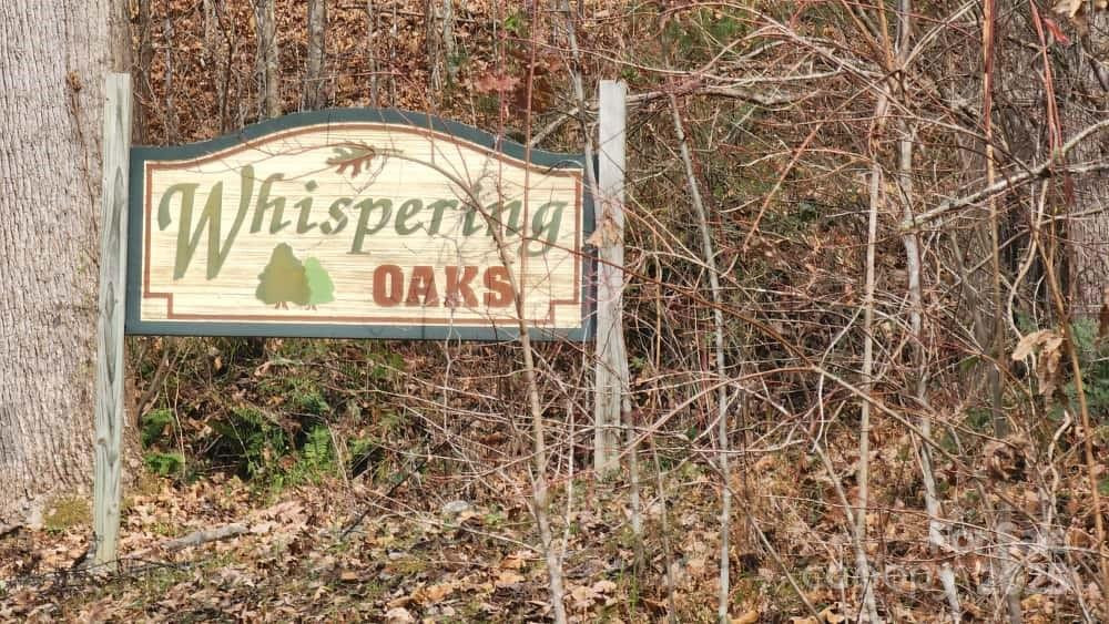 00 SATINWOOD Drive #19 - Photo 4