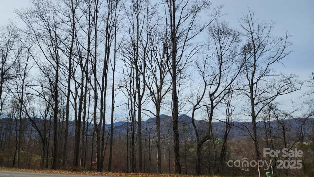 00 SATINWOOD Drive #19 - Photo 8