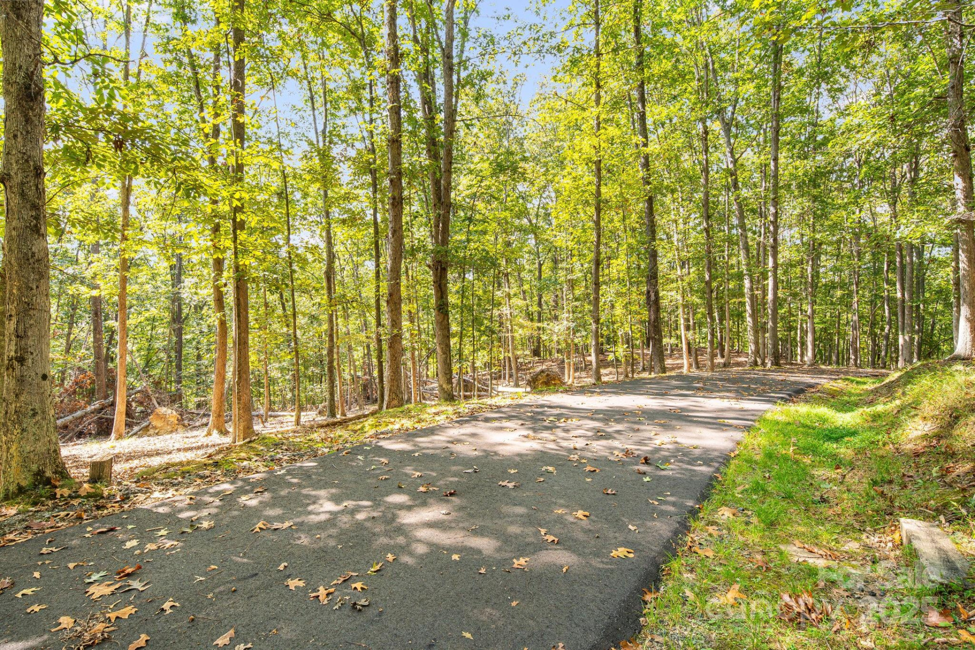 111 Wild Turkey Loop - Photo 15