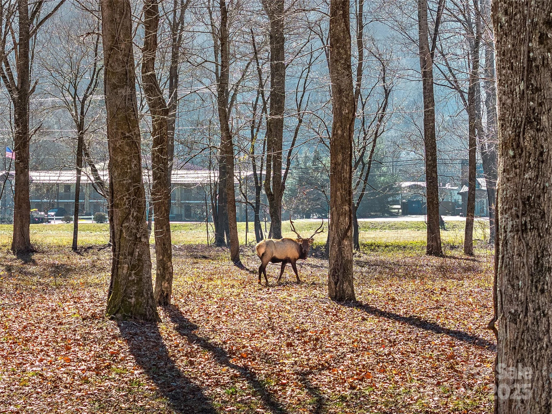 74 Badd Lane - Photo 10