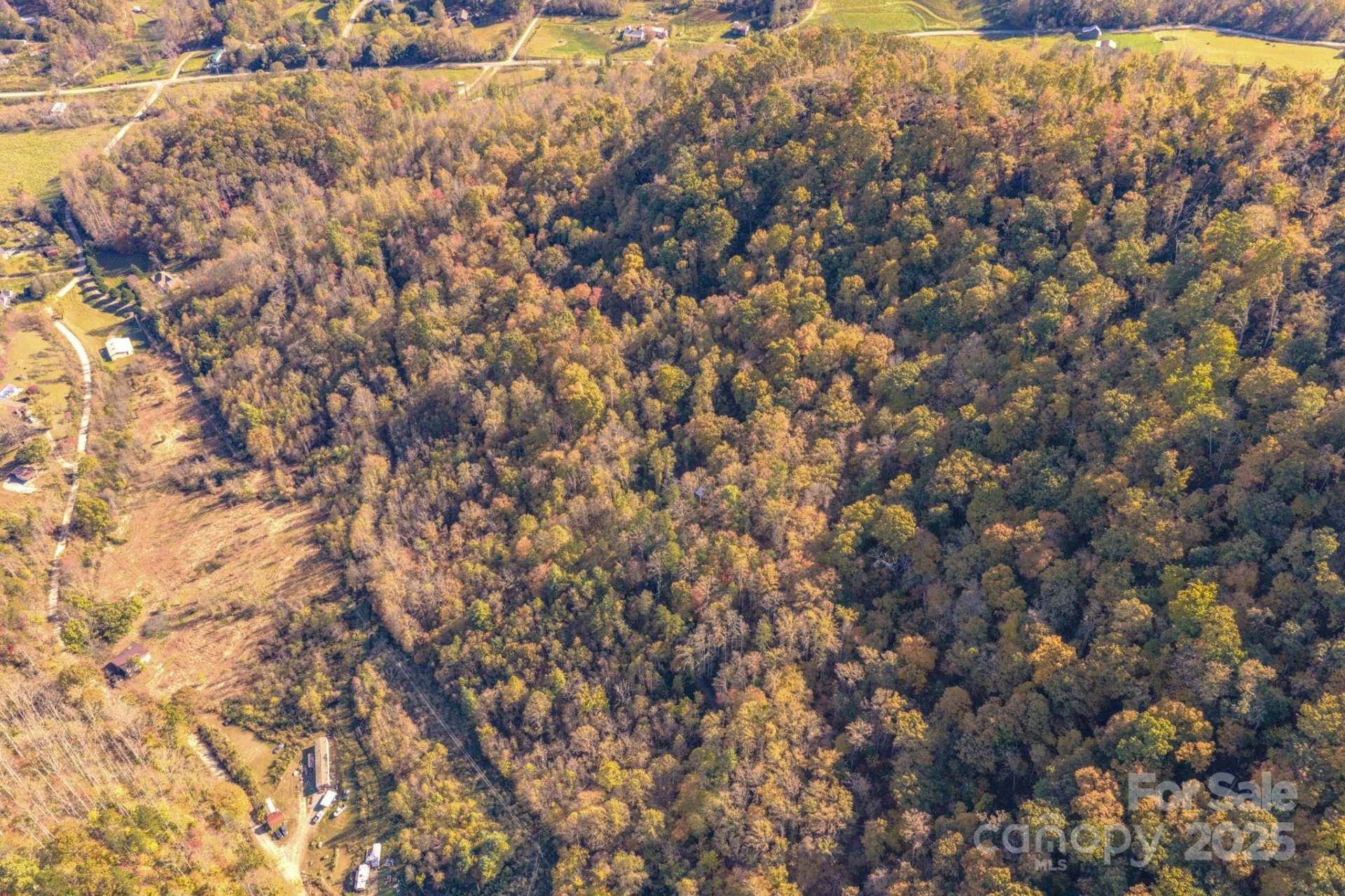 279 Morgan Branch Road - Photo 11