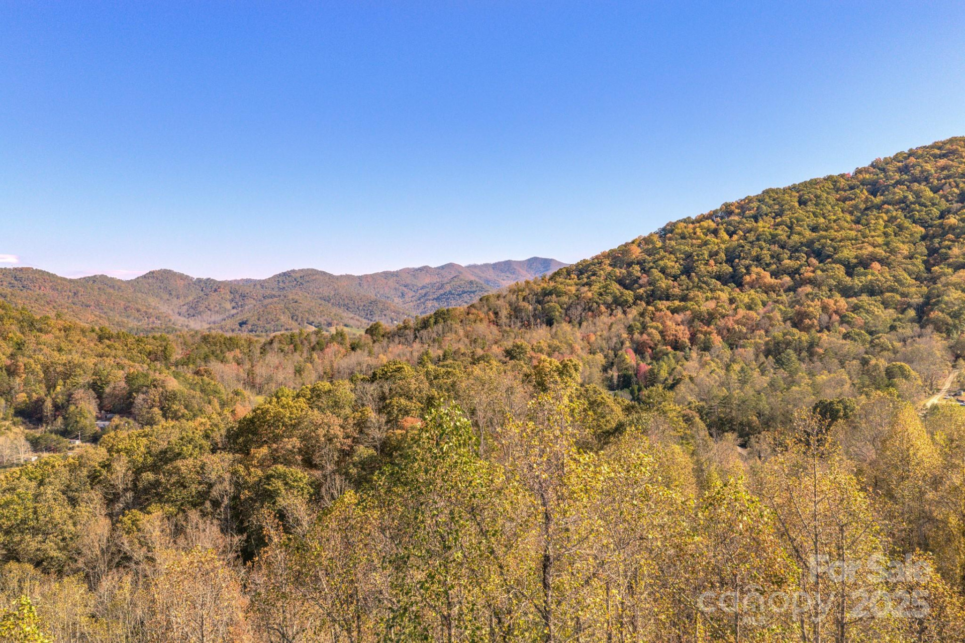 279 Morgan Branch Road - Photo 3