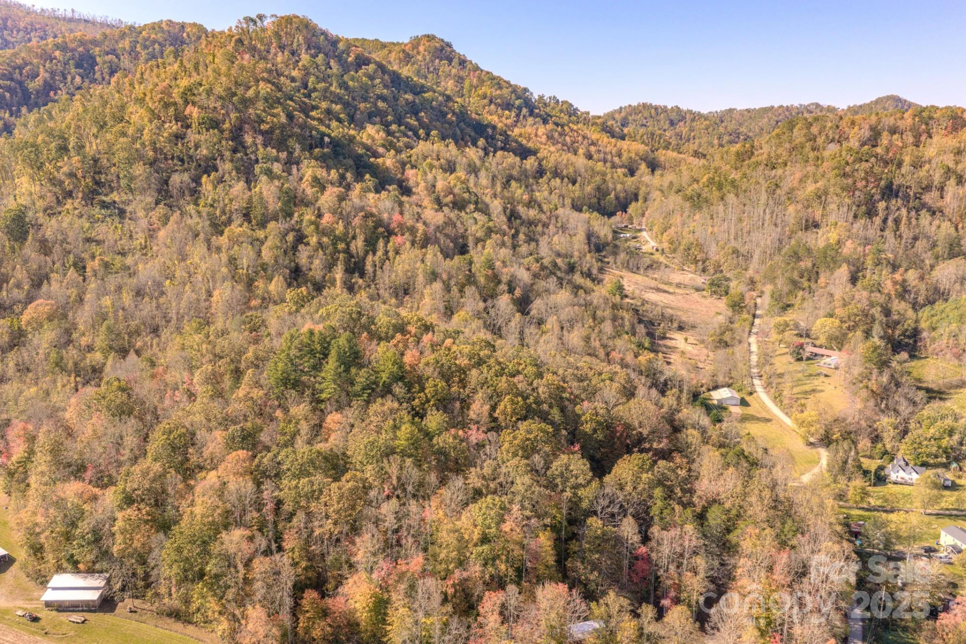 279 Morgan Branch Road - Photo 4