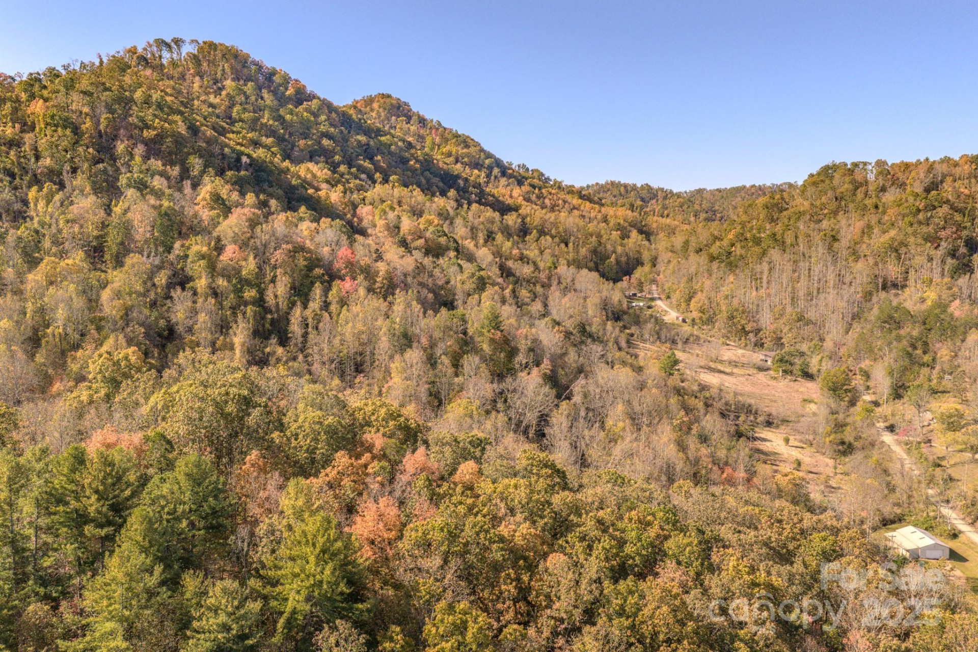 279 Morgan Branch Road - Photo 5