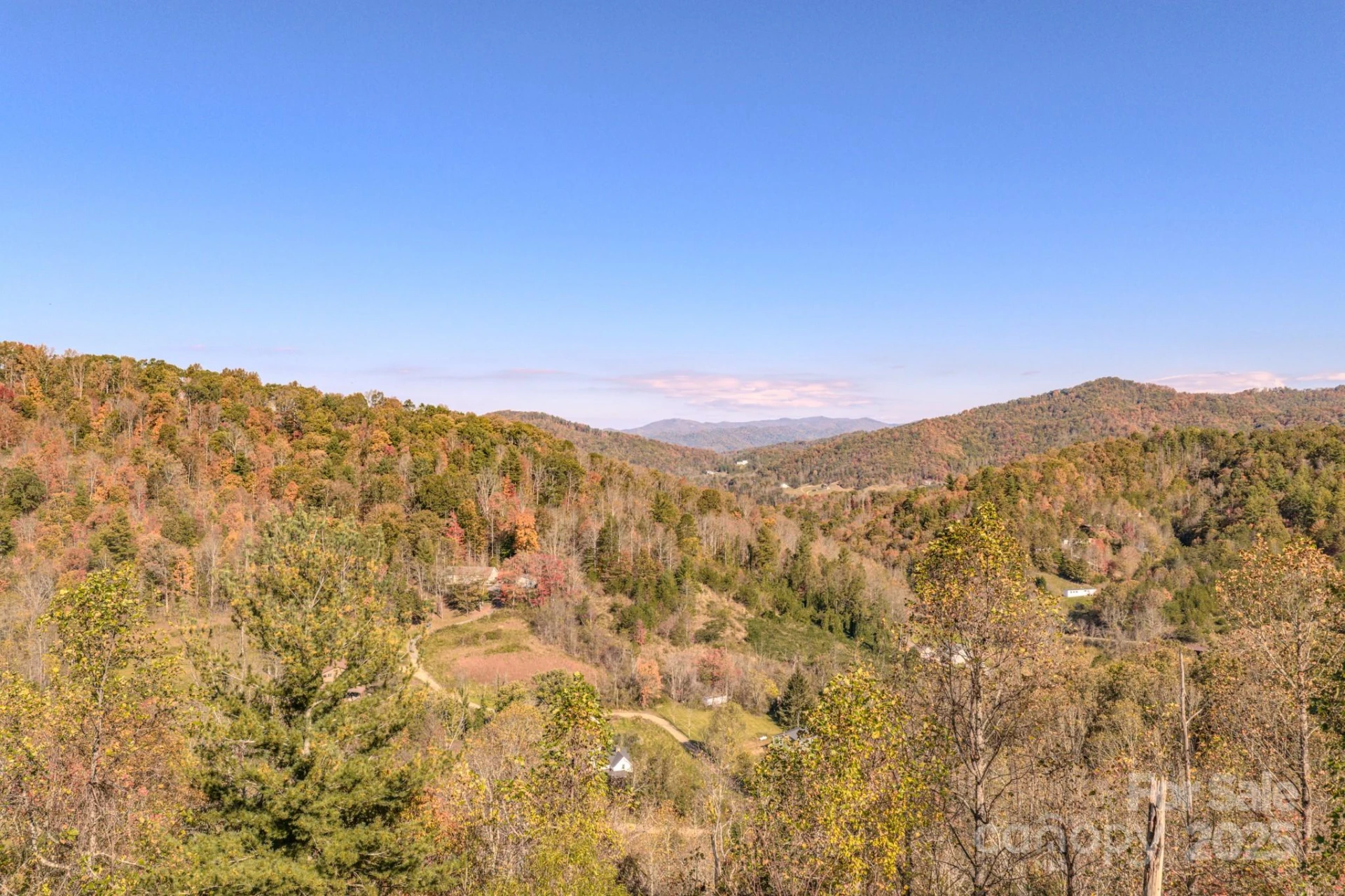 279 Morgan Branch Road - Photo 7