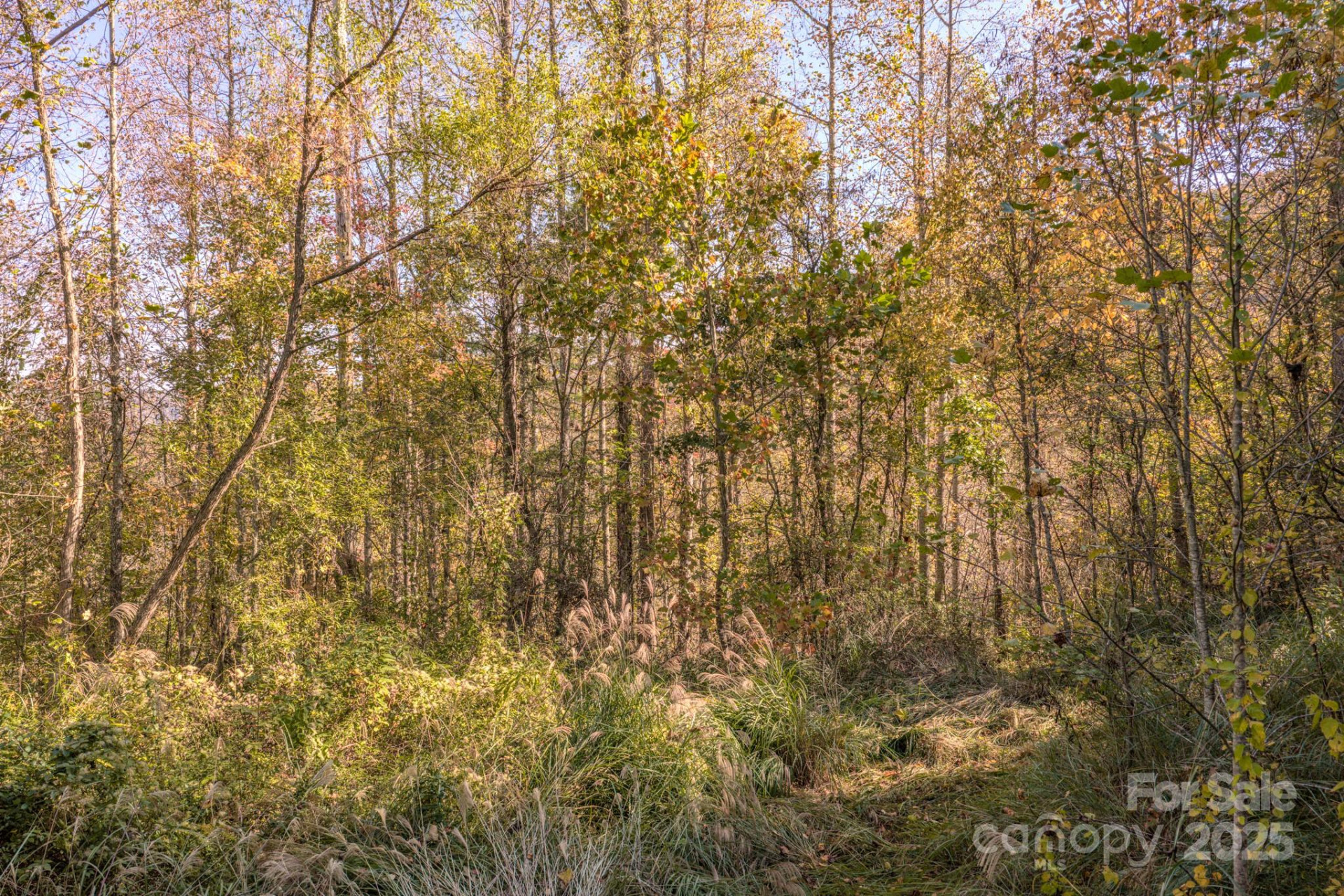 279 Morgan Branch Road - Photo 8