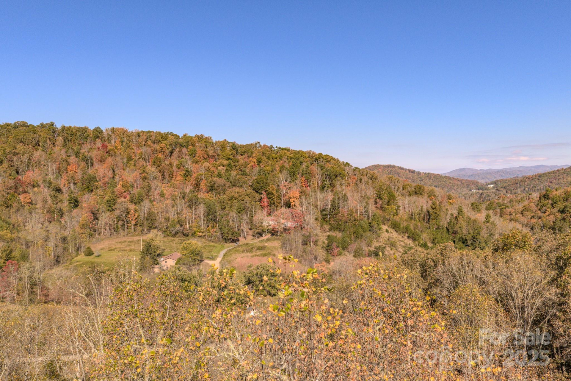 279 Morgan Branch Road - Photo 9