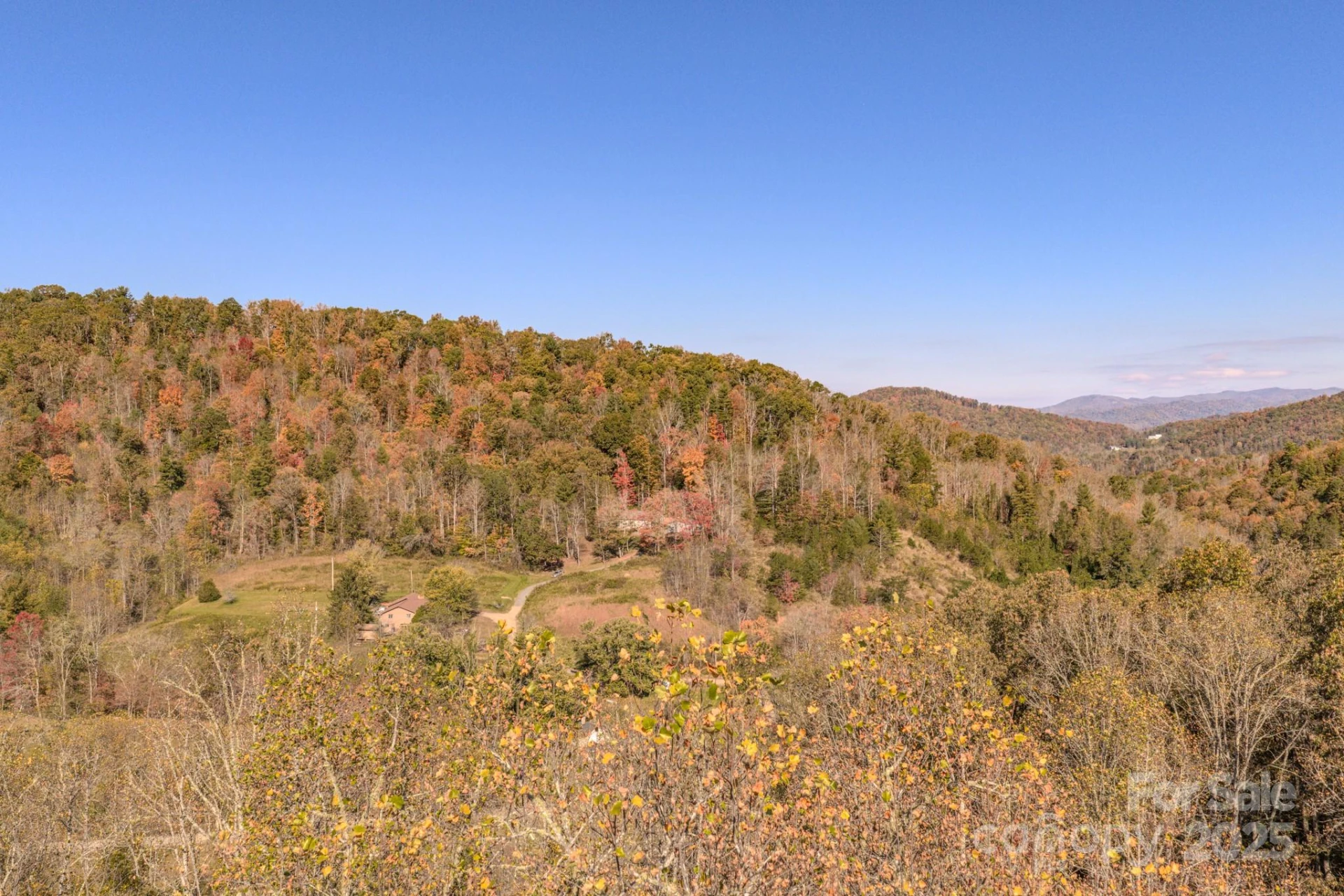 279 Morgan Branch Road - Photo 9