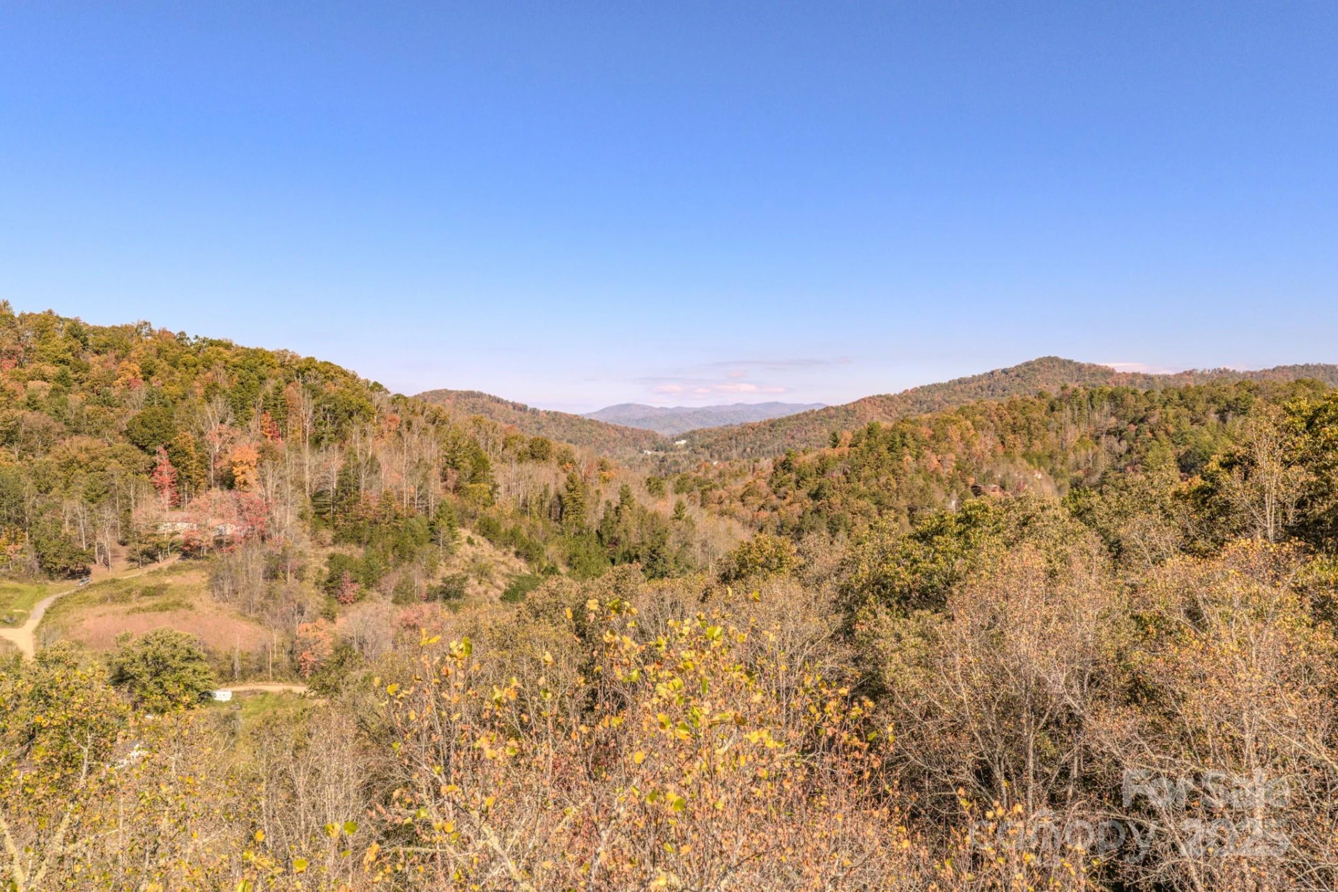 279 Morgan Branch Road - Photo 10