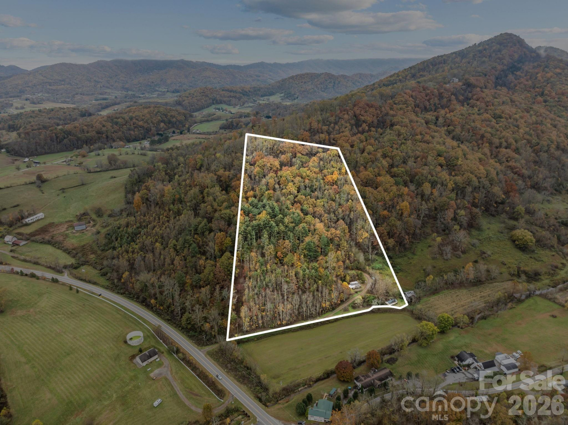 3114 New Leicester Highway - Photo 24