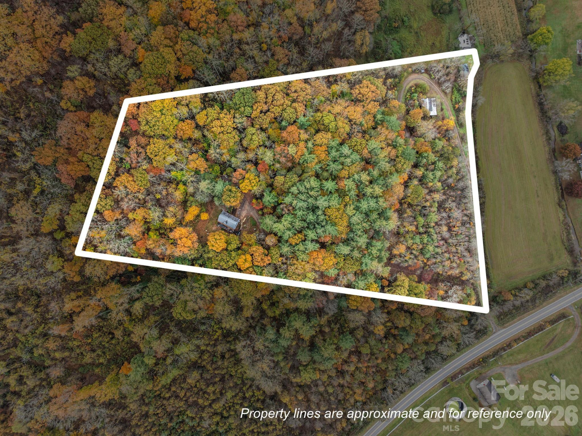 3114 New Leicester Highway - Photo 25