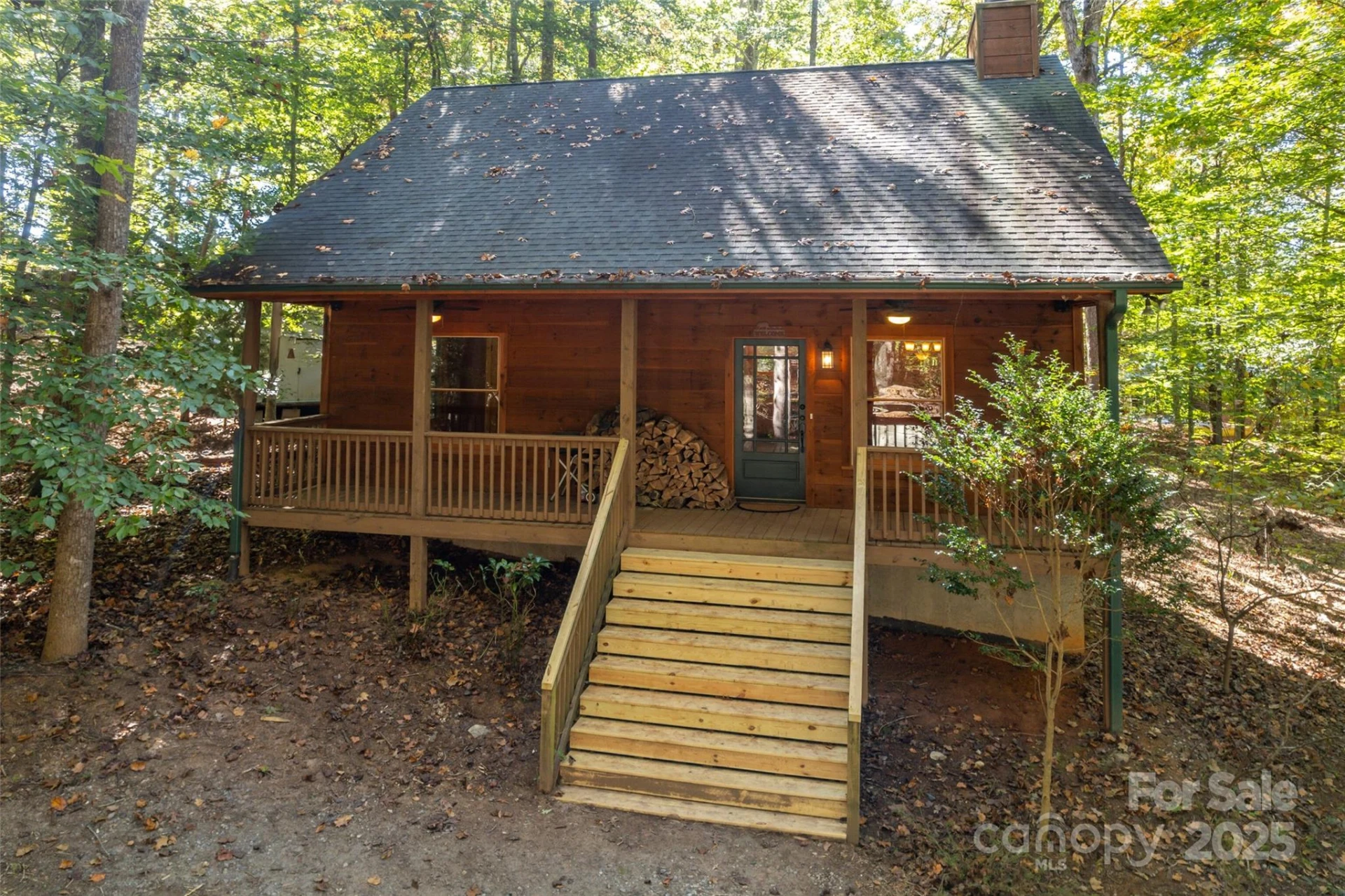 329 Cinnamon Ridge - Photo 3