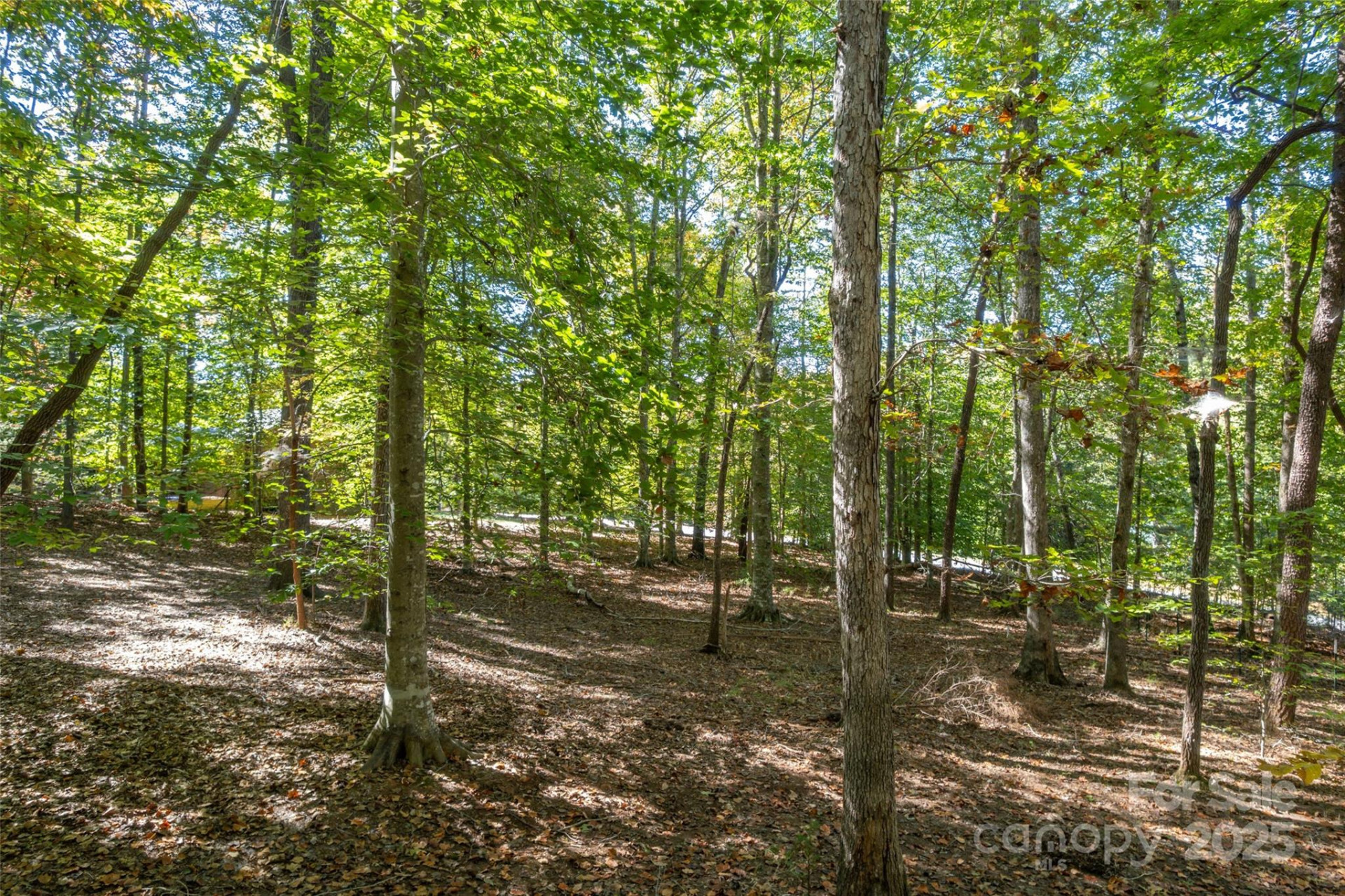 329 Cinnamon Ridge - Photo 34