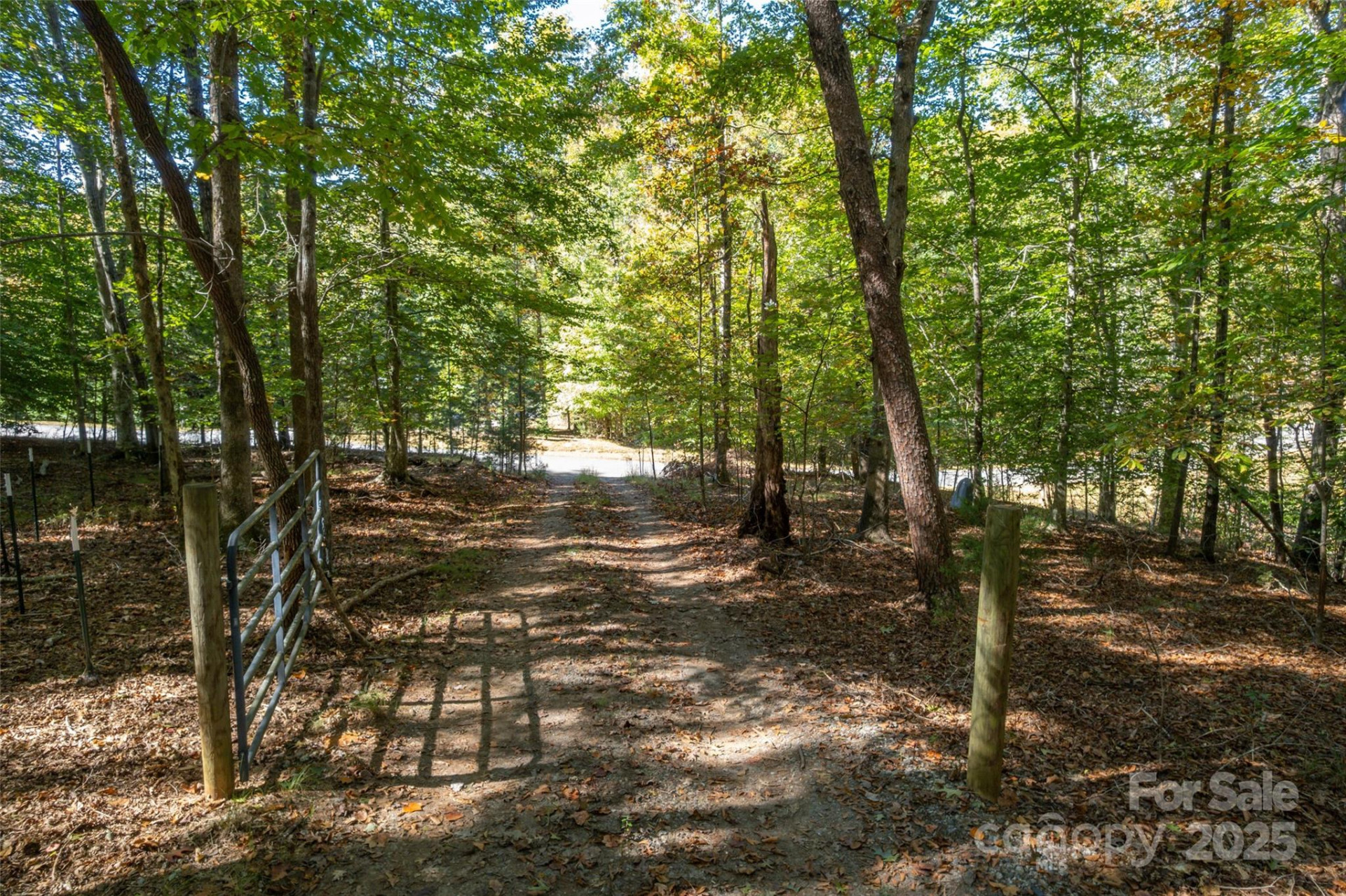 329 Cinnamon Ridge - Photo 35