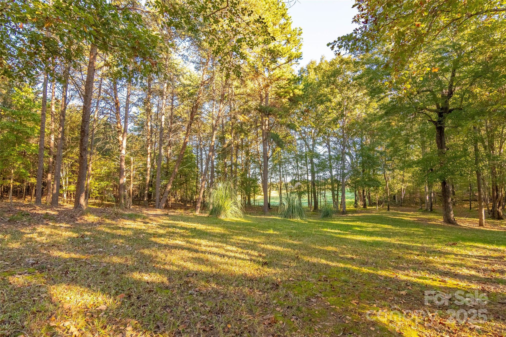 190 Carrs Court - Photo 11