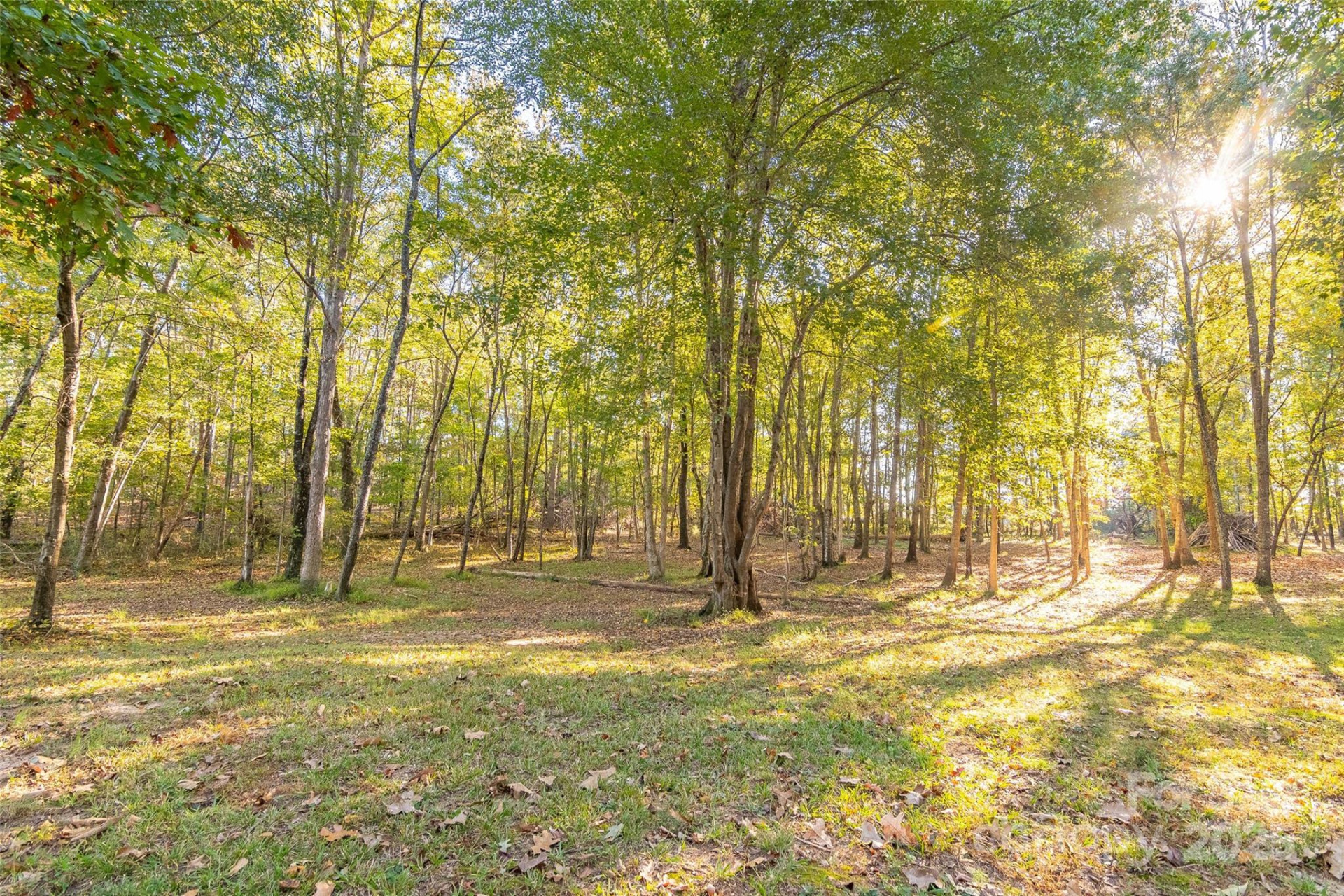 190 Carrs Court - Photo 12