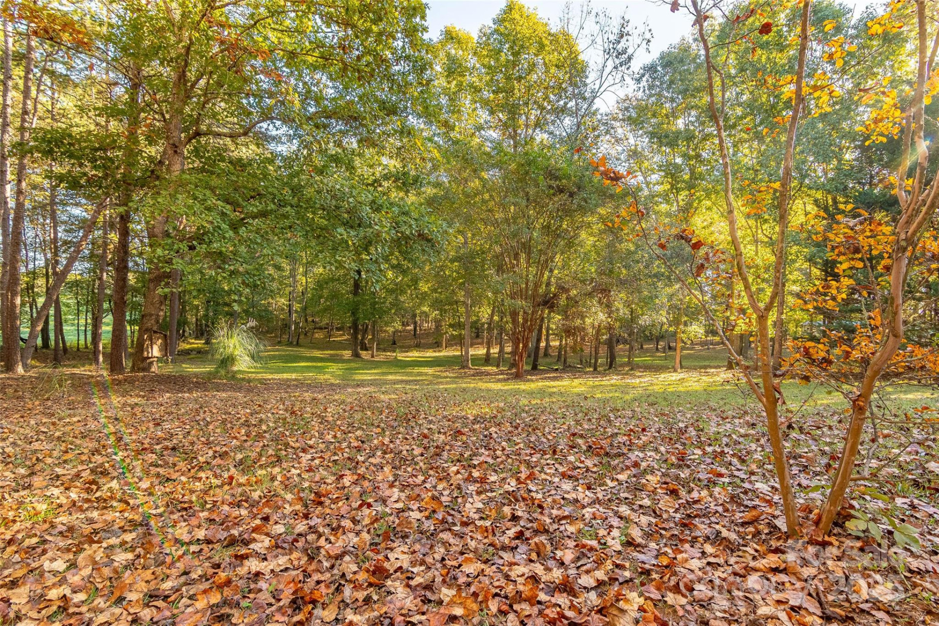 190 Carrs Court - Photo 10