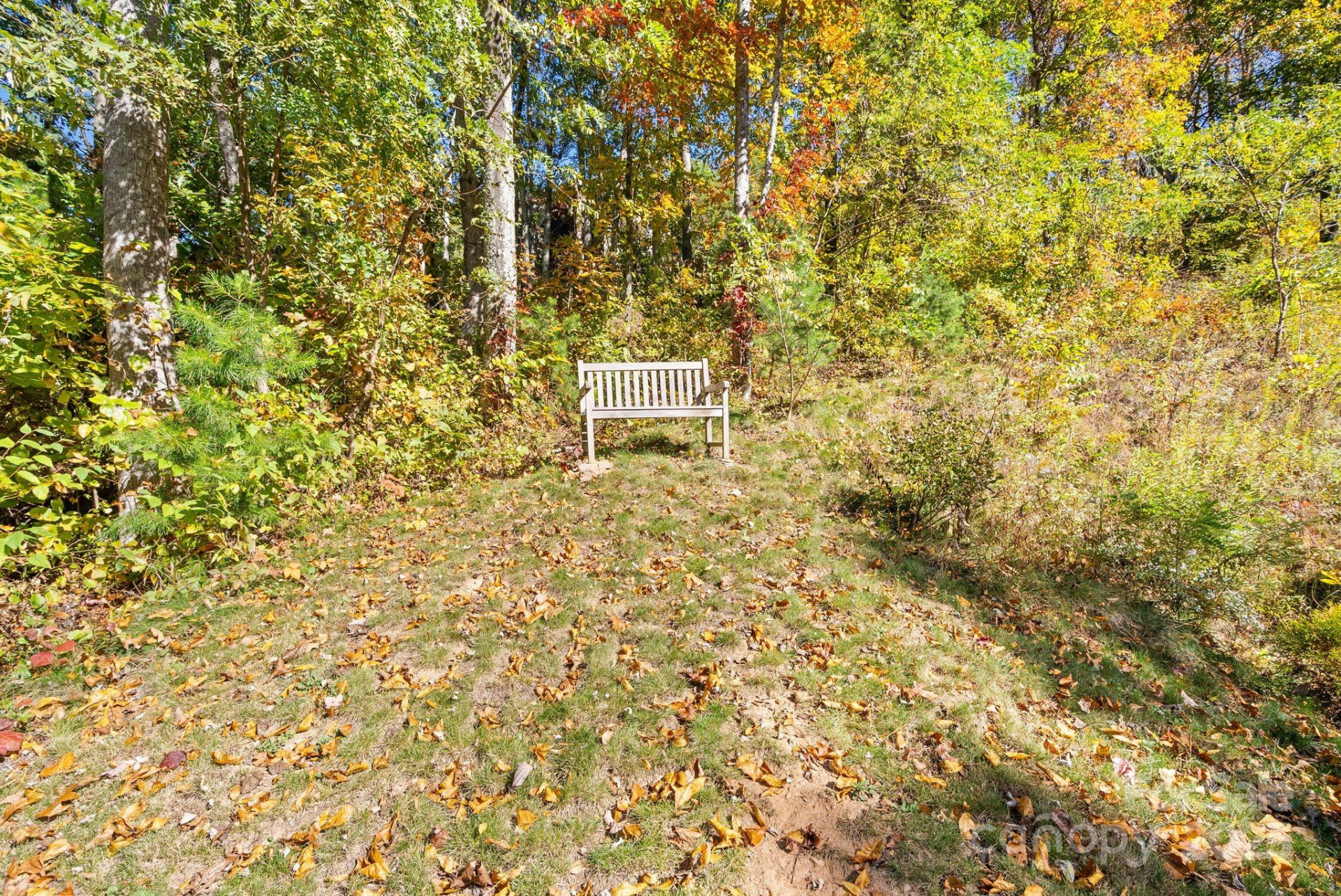 75 Winding Ridge Road - Photo 11