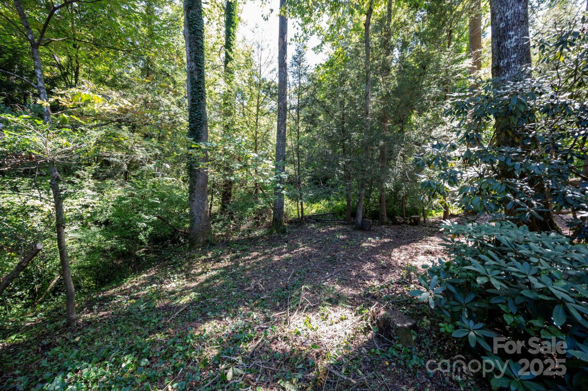 109 Rusty Lane - Photo 28