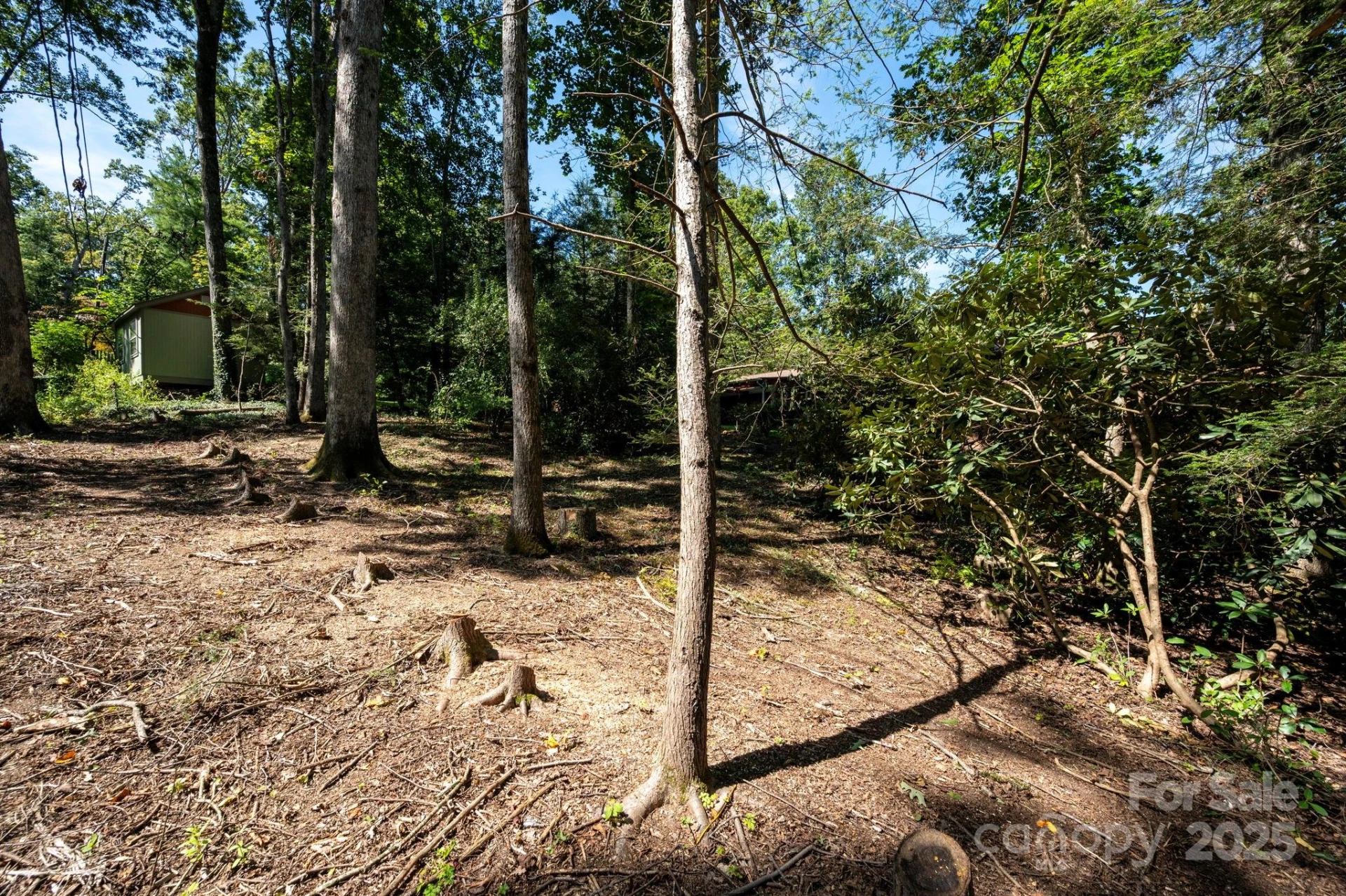 109 Rusty Lane - Photo 29