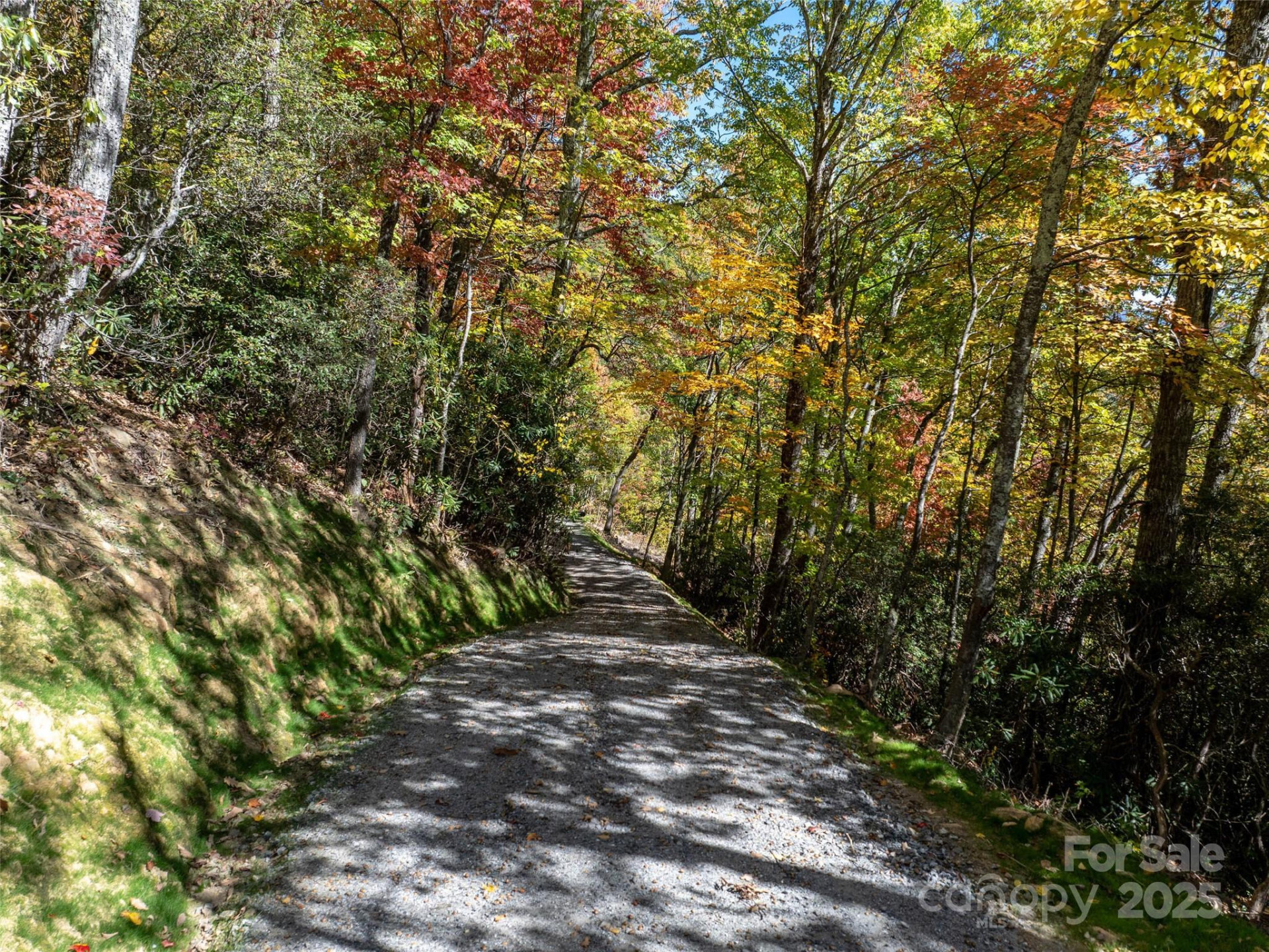 Lot 287 Running Deer Trail - Photo 12