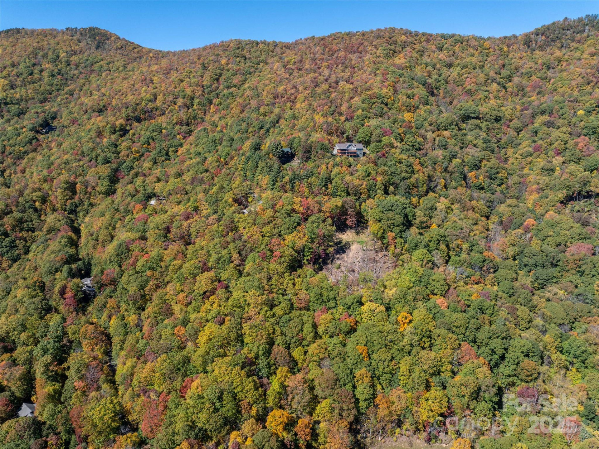 Lot 287 Running Deer Trail - Photo 13