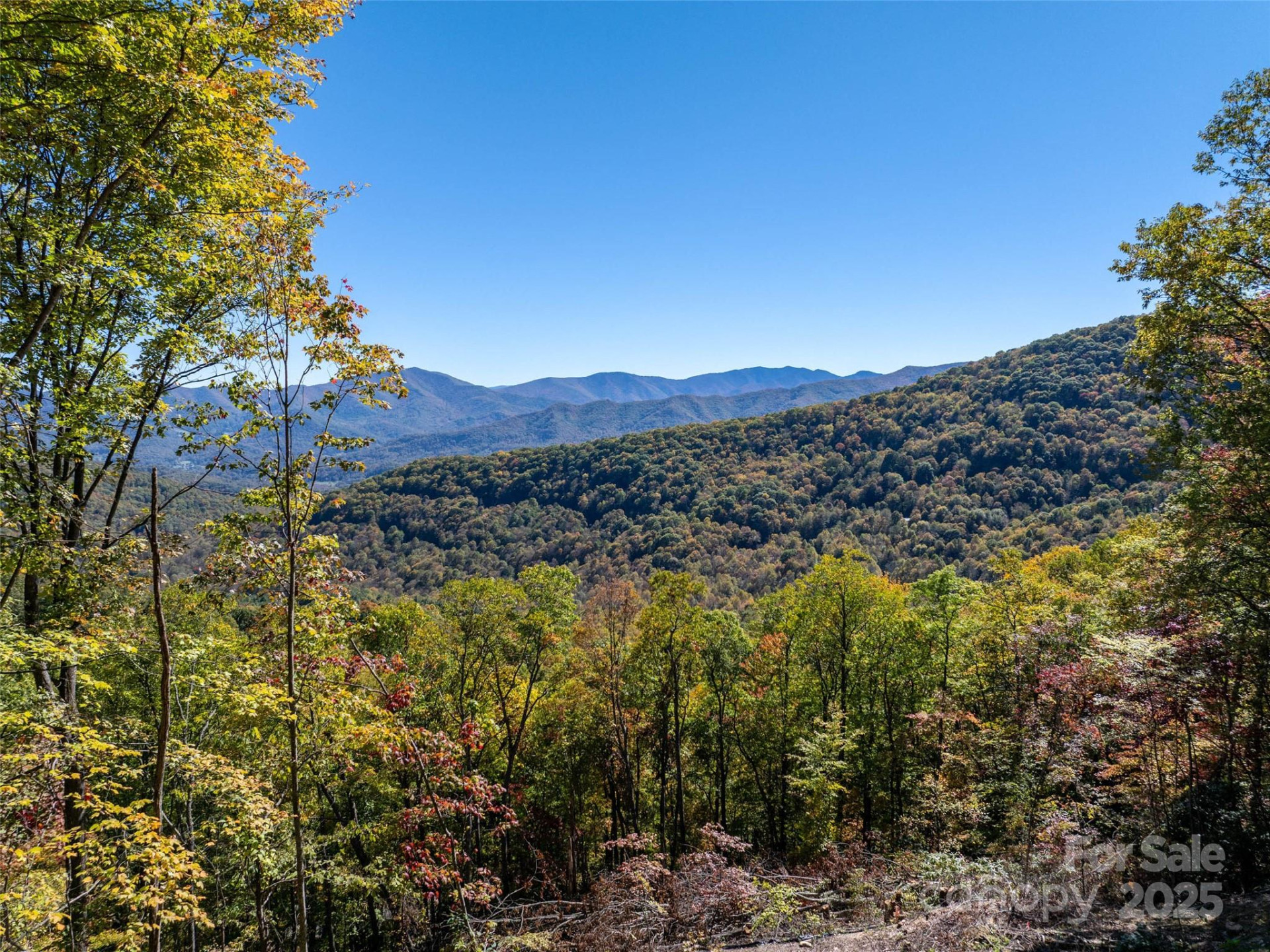 Lot 287 Running Deer Trail - Photo 14